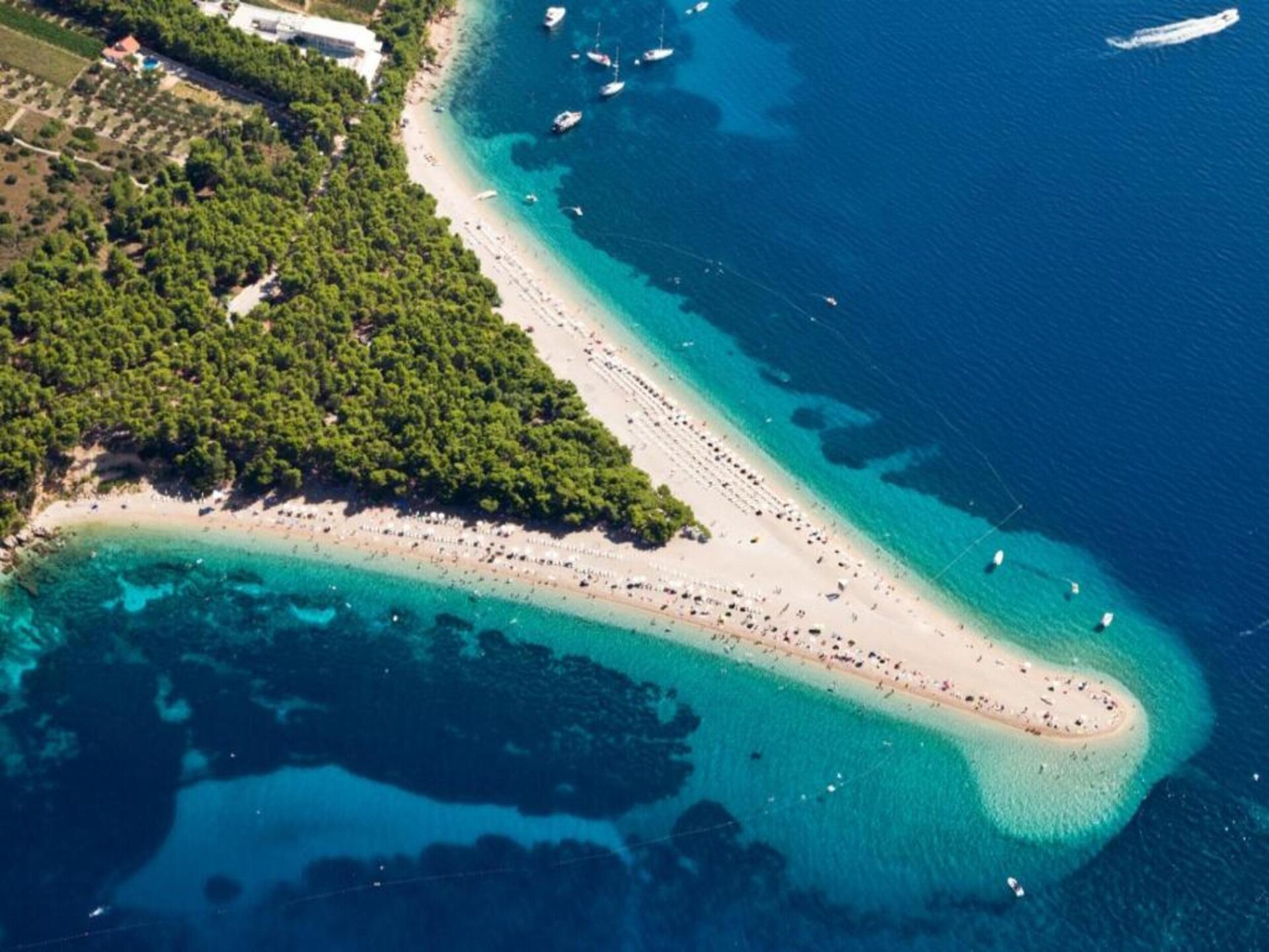 Studio aan zee in Povlja, Brač – 50m van strand met terras en BBQ - foto 26