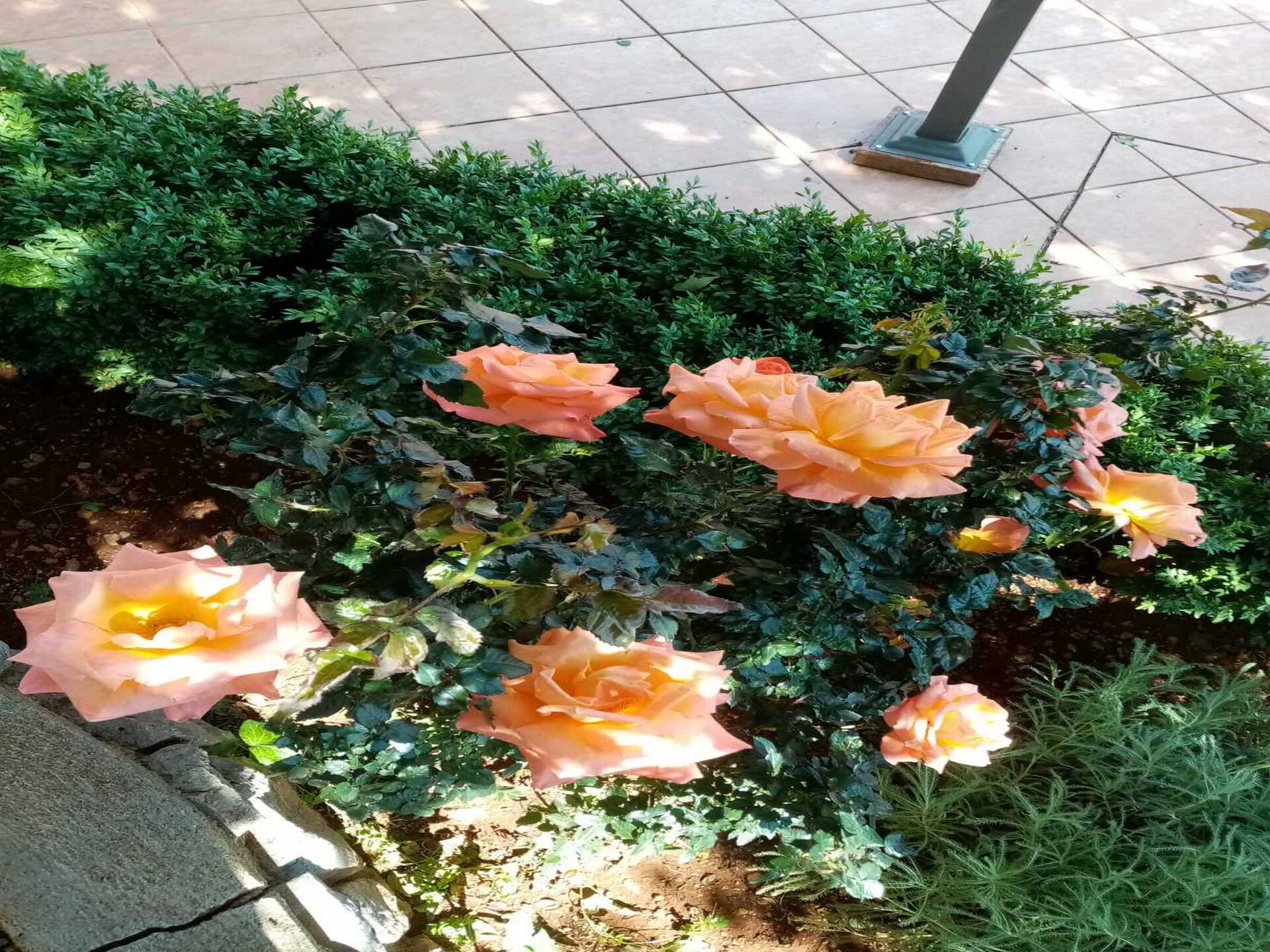 Studio met zeezicht en terras in Cesarica bij Karlobag - foto 27