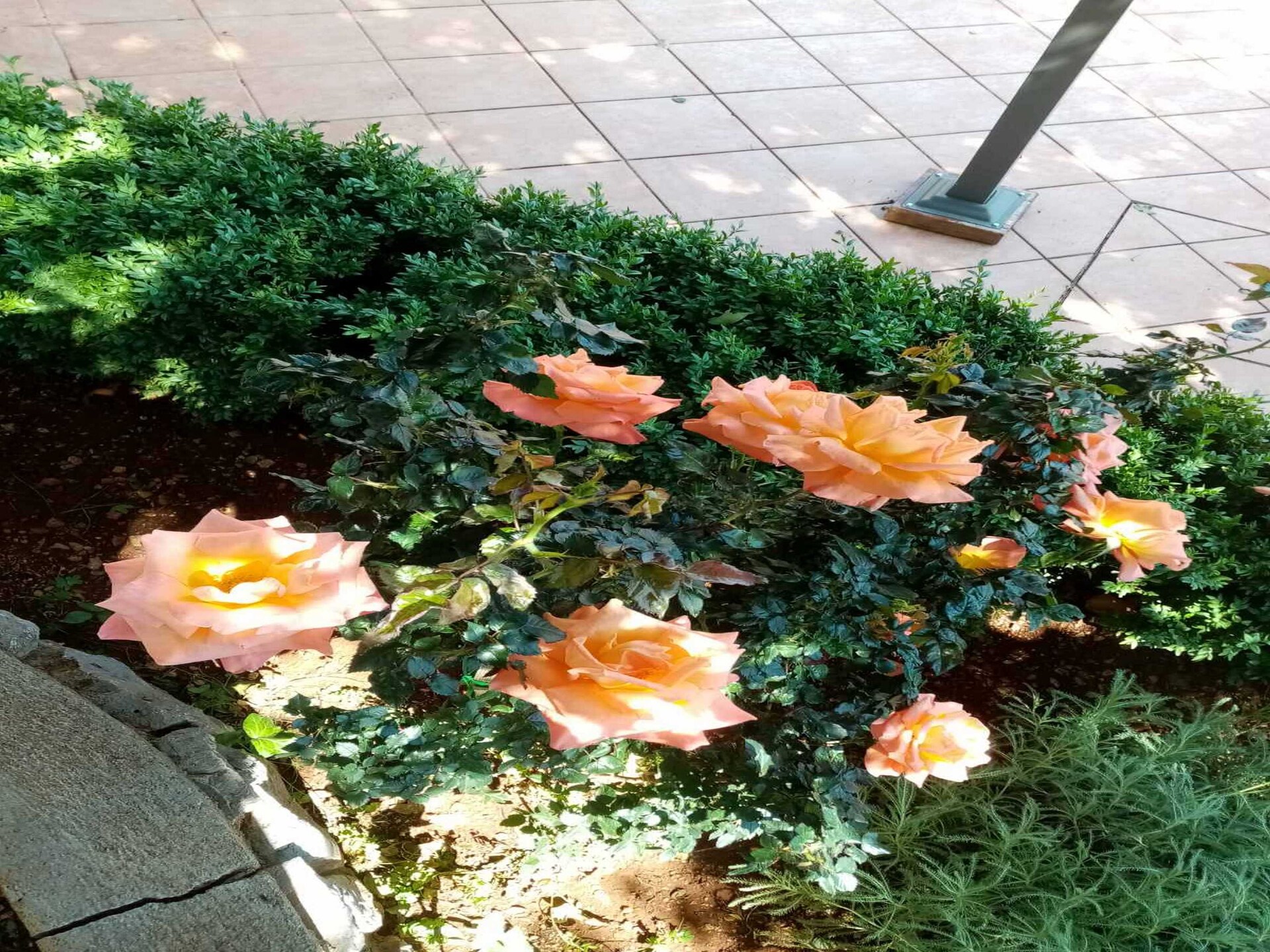 Studio met zeezicht en terras in Cesarica bij Karlobag - foto 12