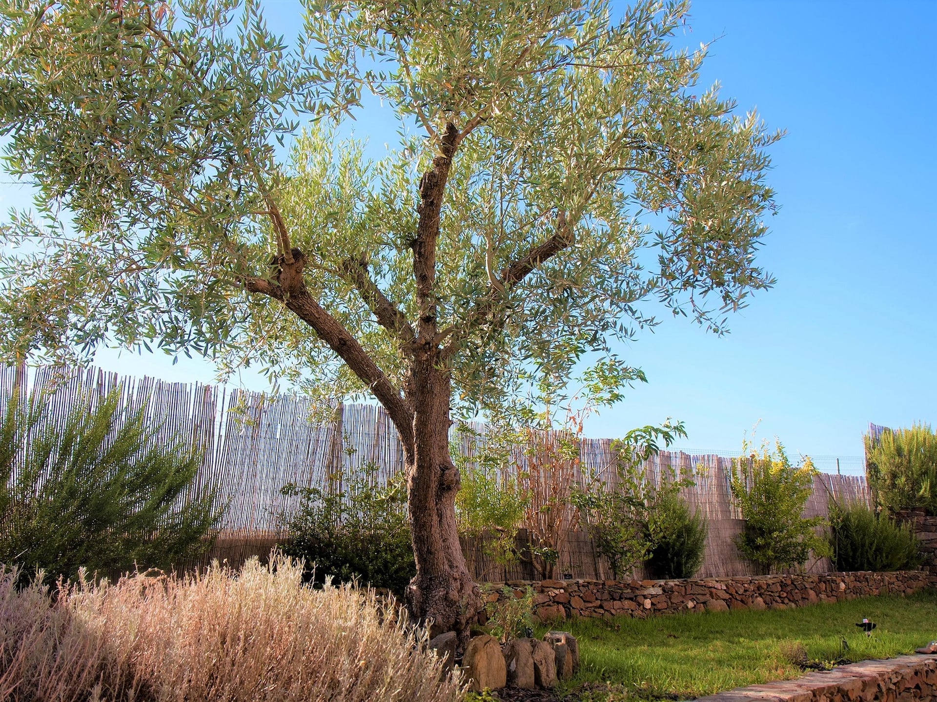 Ecoland Turismo Rural: Authentiek landhuis in natuurpark Vale do Guadiana - foto 24