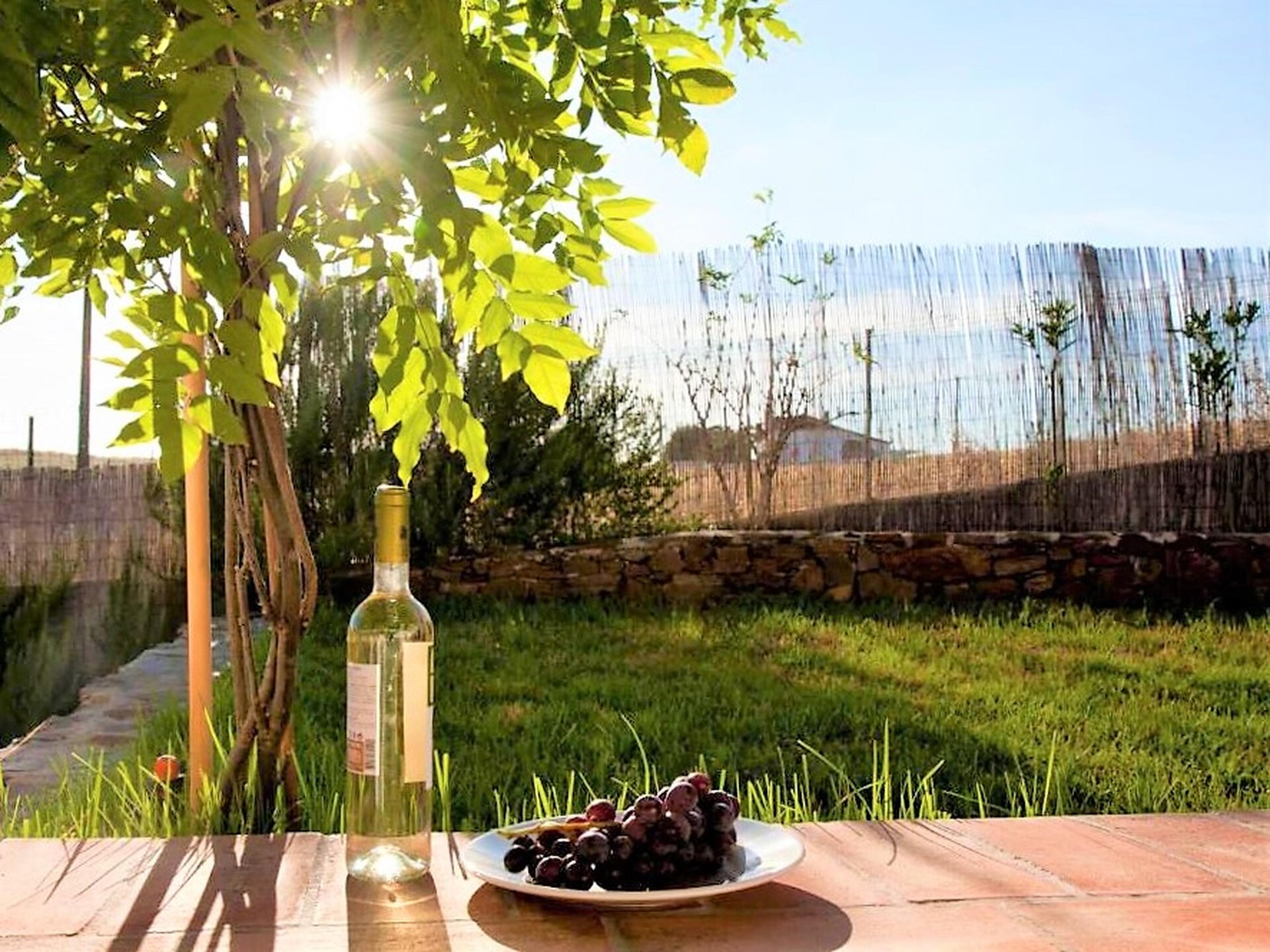Ecoland Turismo Rural: Authentiek landhuis in natuurpark Vale do Guadiana - foto 23
