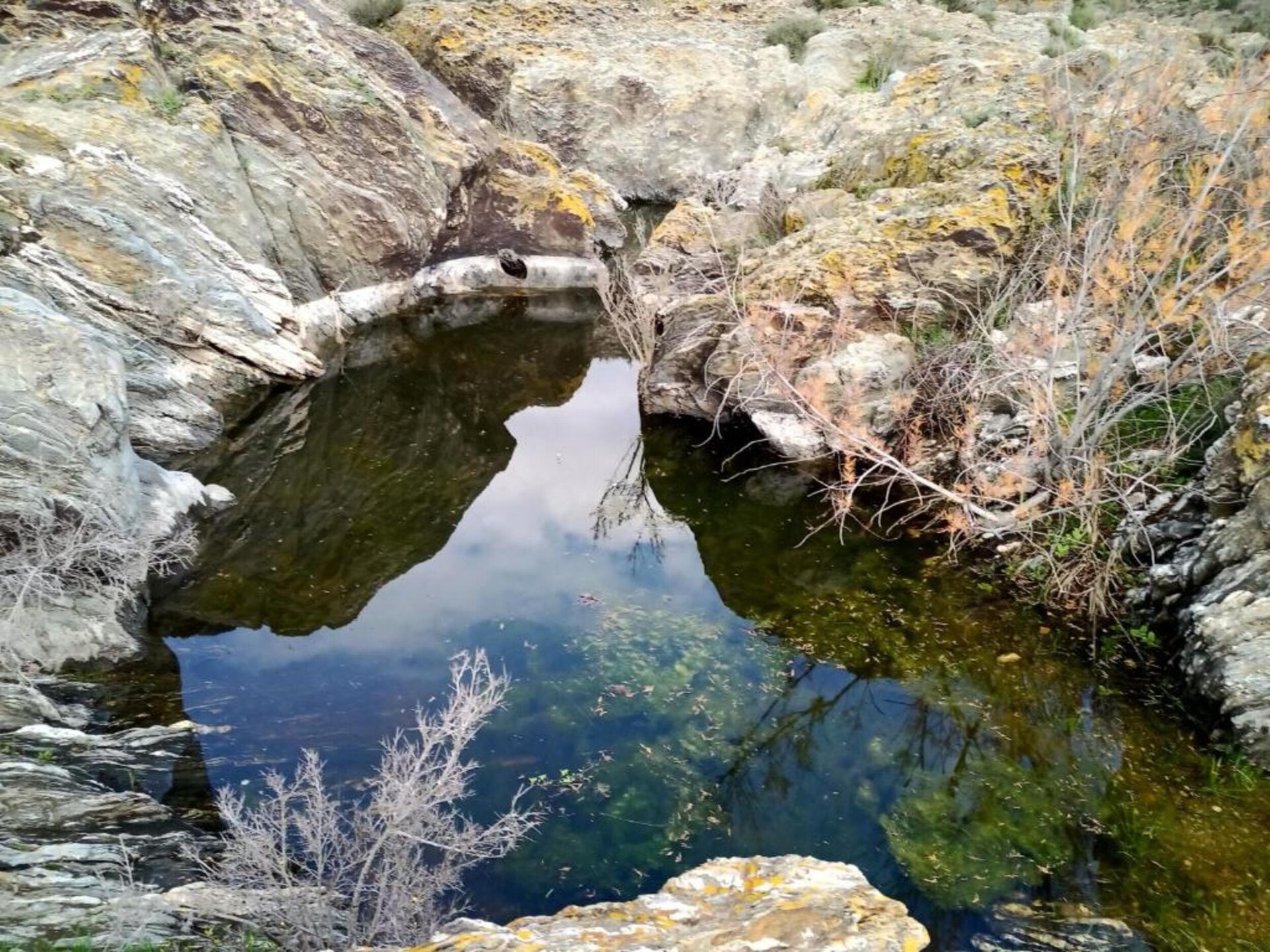 Ecoland Turismo Rural: Authentiek landhuis in natuurpark Vale do Guadiana - foto 25