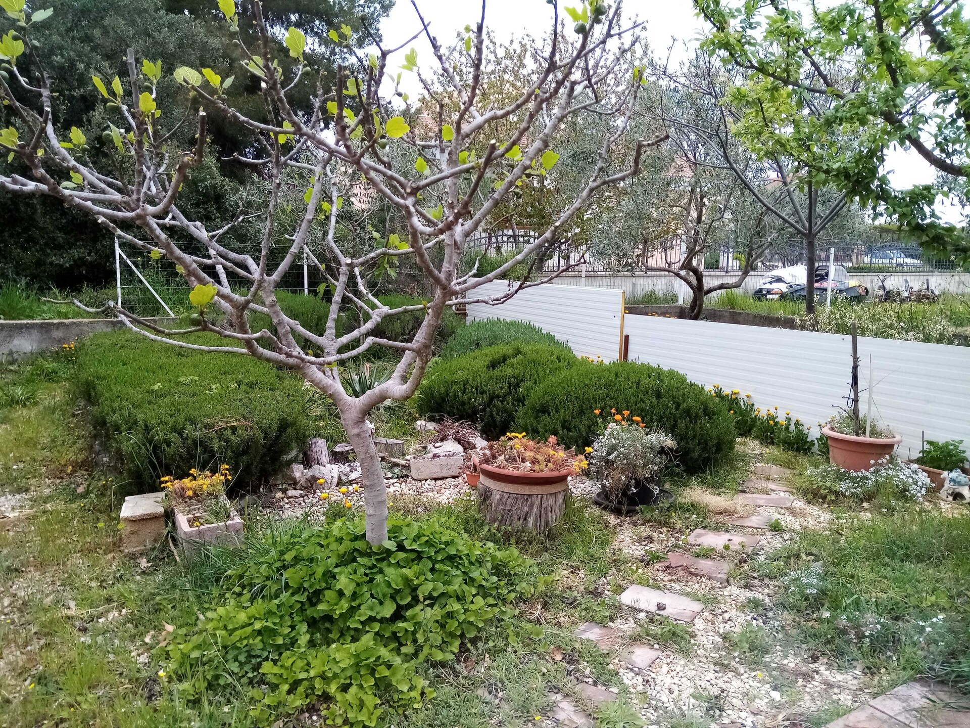 Op 500 m van het strand: Studio appartement in Biograd na Moru - foto 11