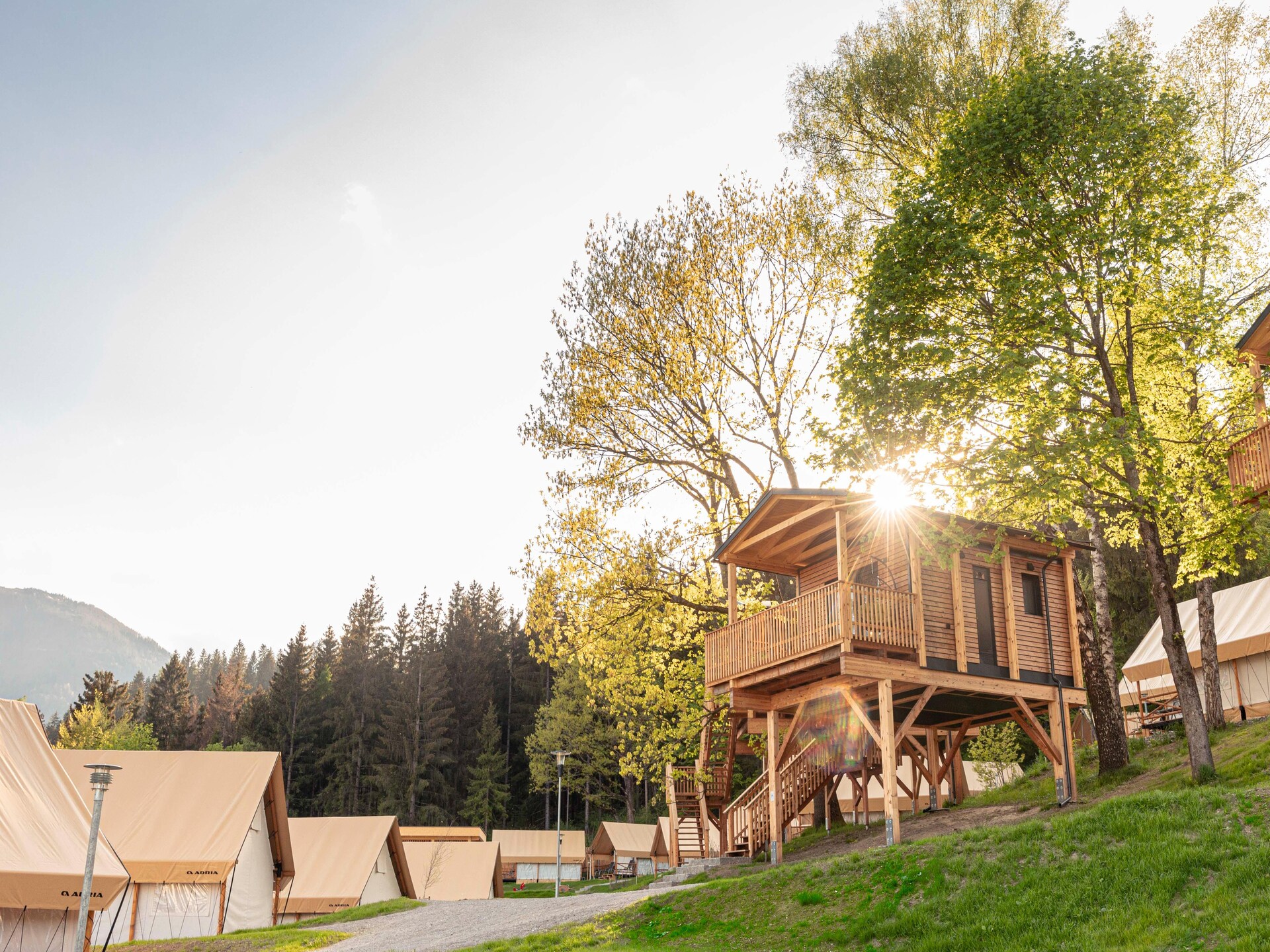 Modern vrijstaand chalet voor 6 aan de bosrand bij Nassfeld - foto 13