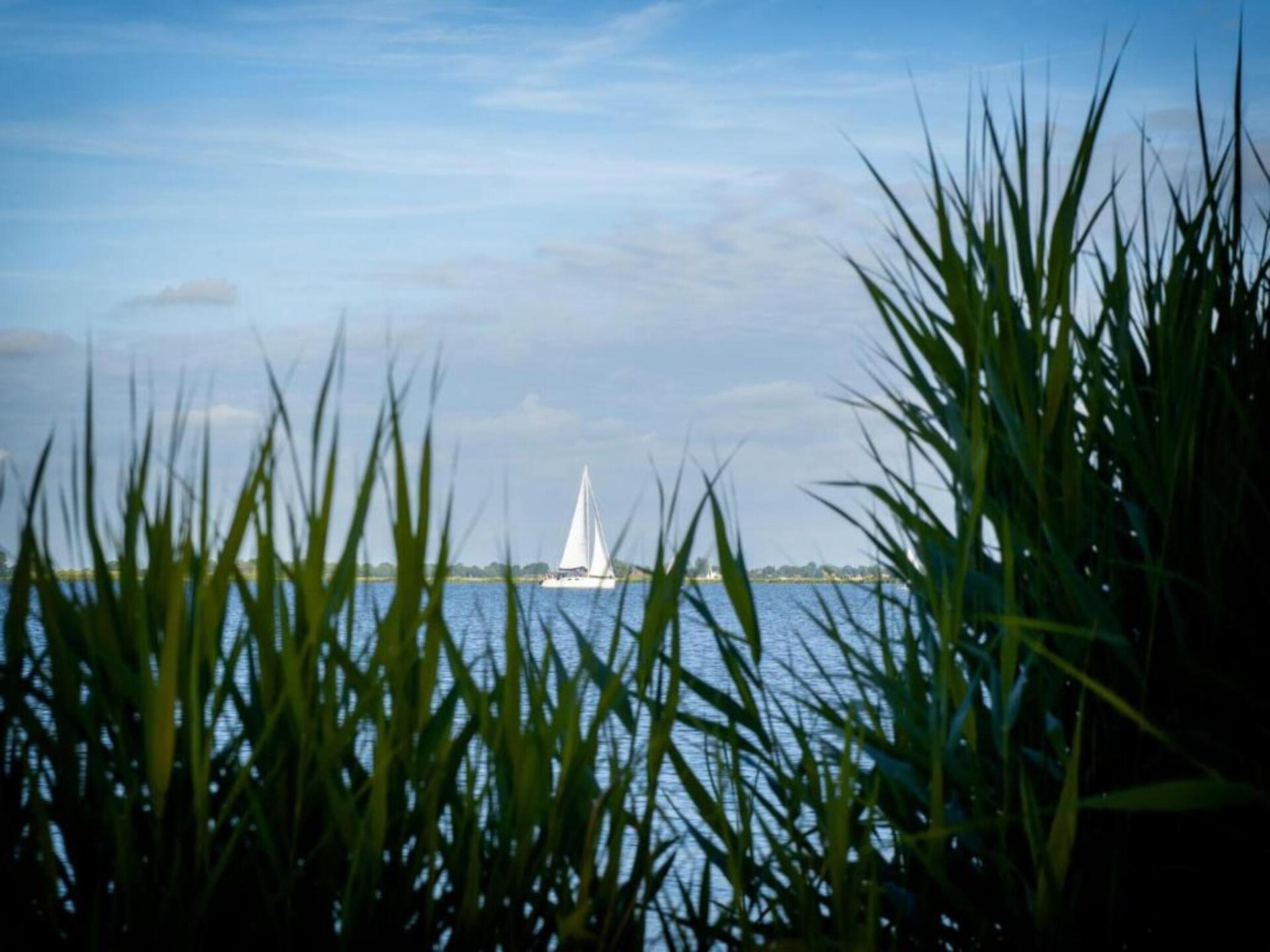 Woonboot 'de Valreep' met tuin aan het Sneekermeer - foto 22