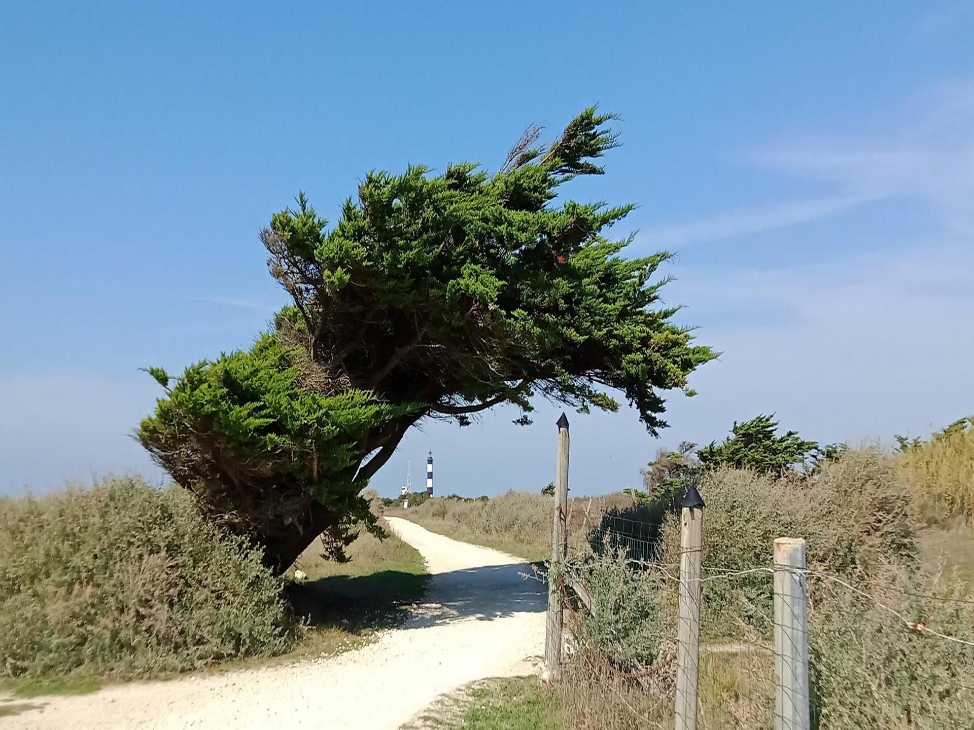 Knusse studio voor 2 op 300m van het strand met binnen- en buitenzwembad - foto 11