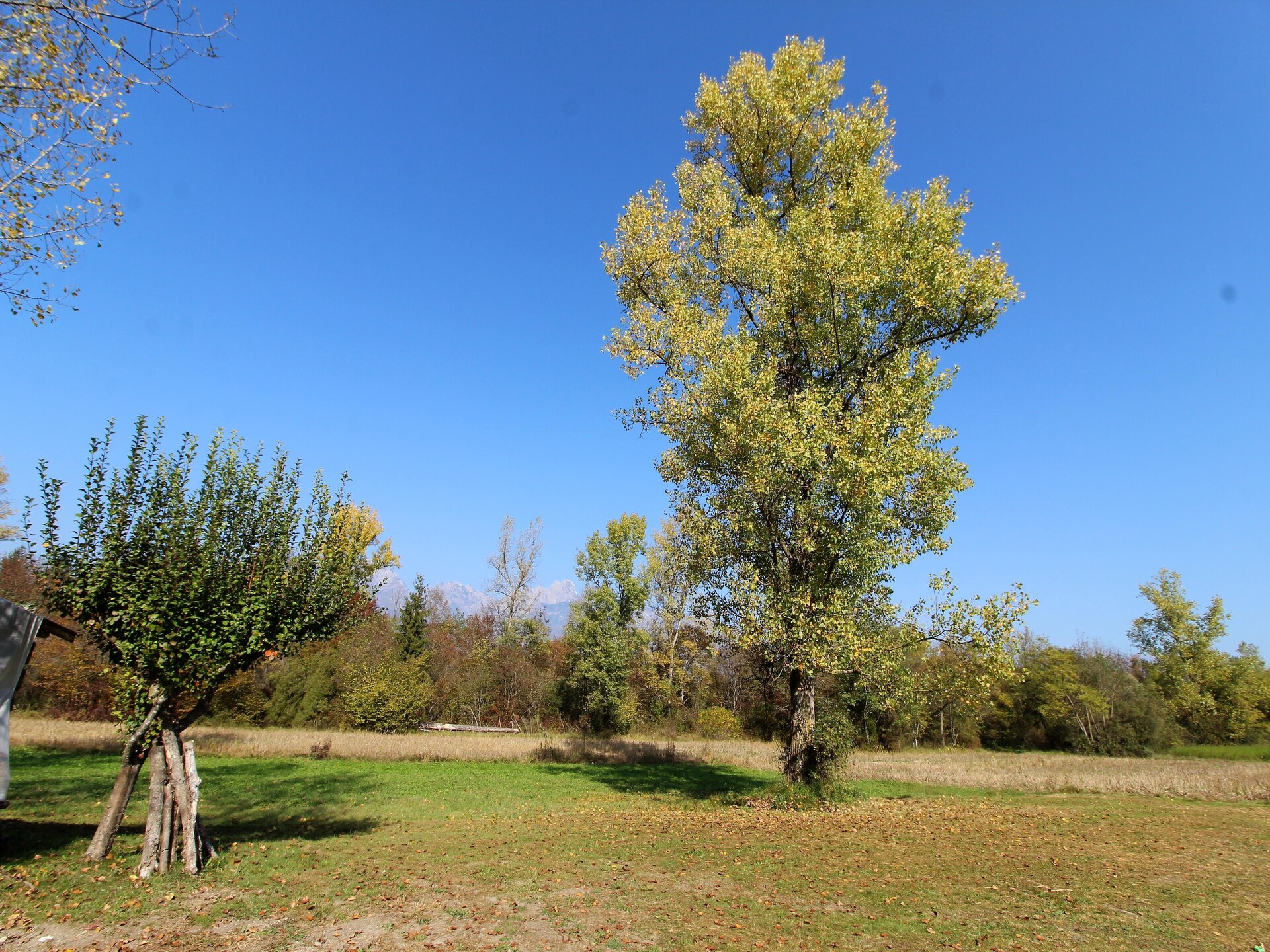 Rustiek vakantiehuis voor 4 aan de Piave met tuin en veranda in Borgo Valbelluna - foto 22