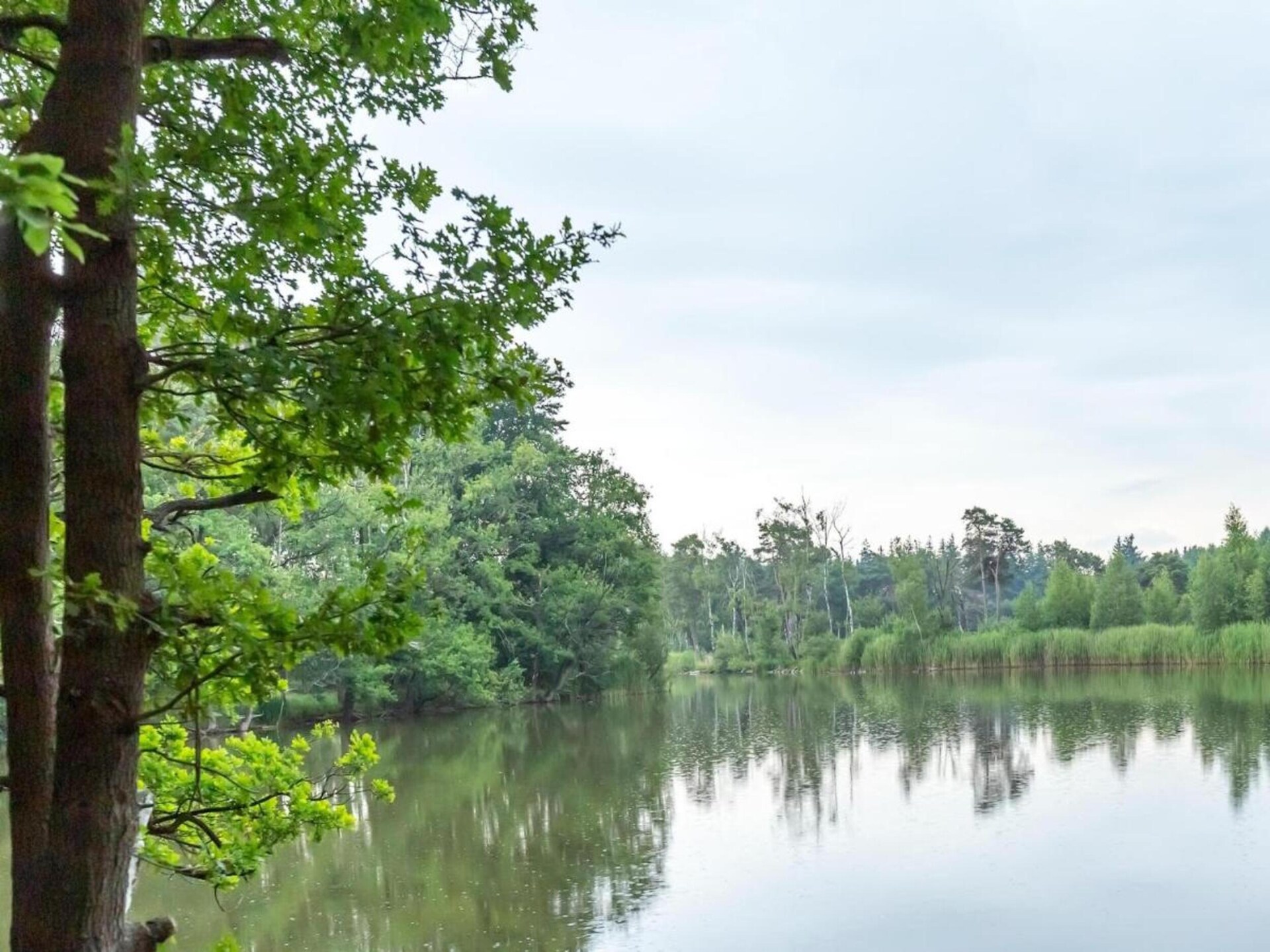 Vakantiehuis met sauna en tuin aan golfbaan in Goirle, Brabant - foto 32