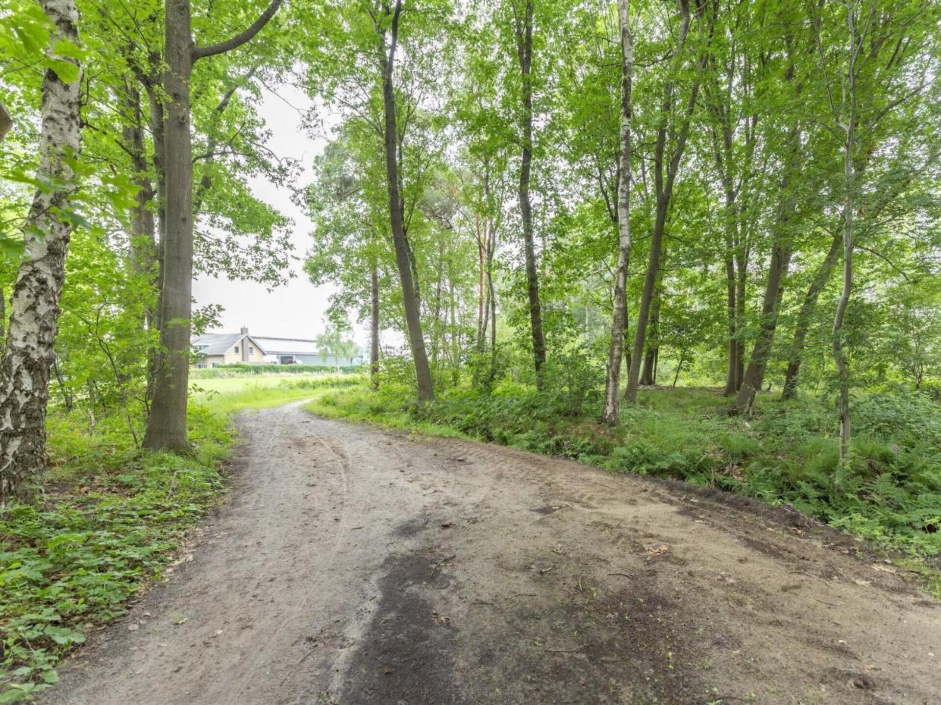 Vakantiehuis met sauna en tuin aan golfbaan in Goirle, Brabant - foto 34