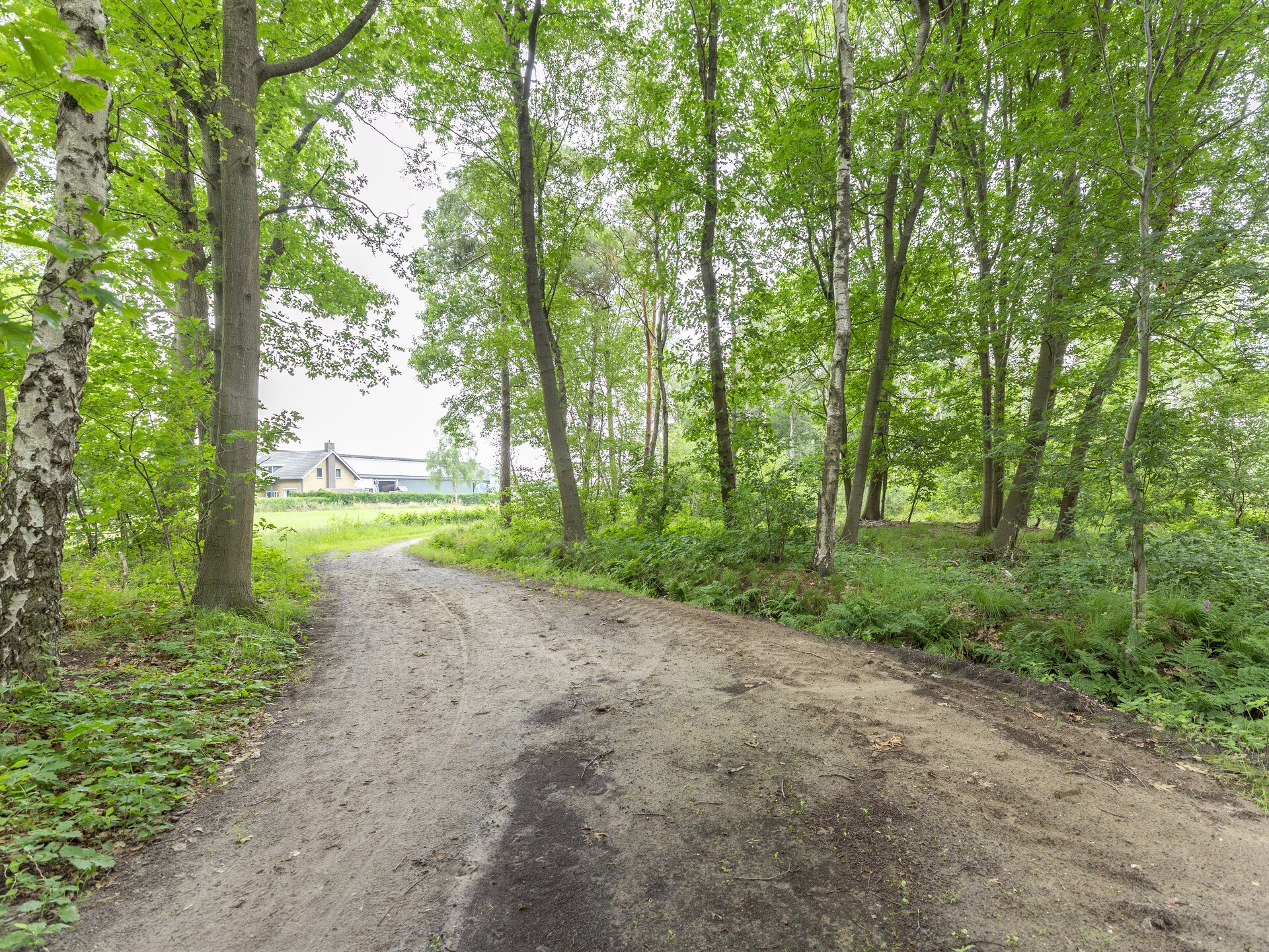 Vakantiehuis in bosrijk Goirle met tuin, terras en golfbaan - foto 35