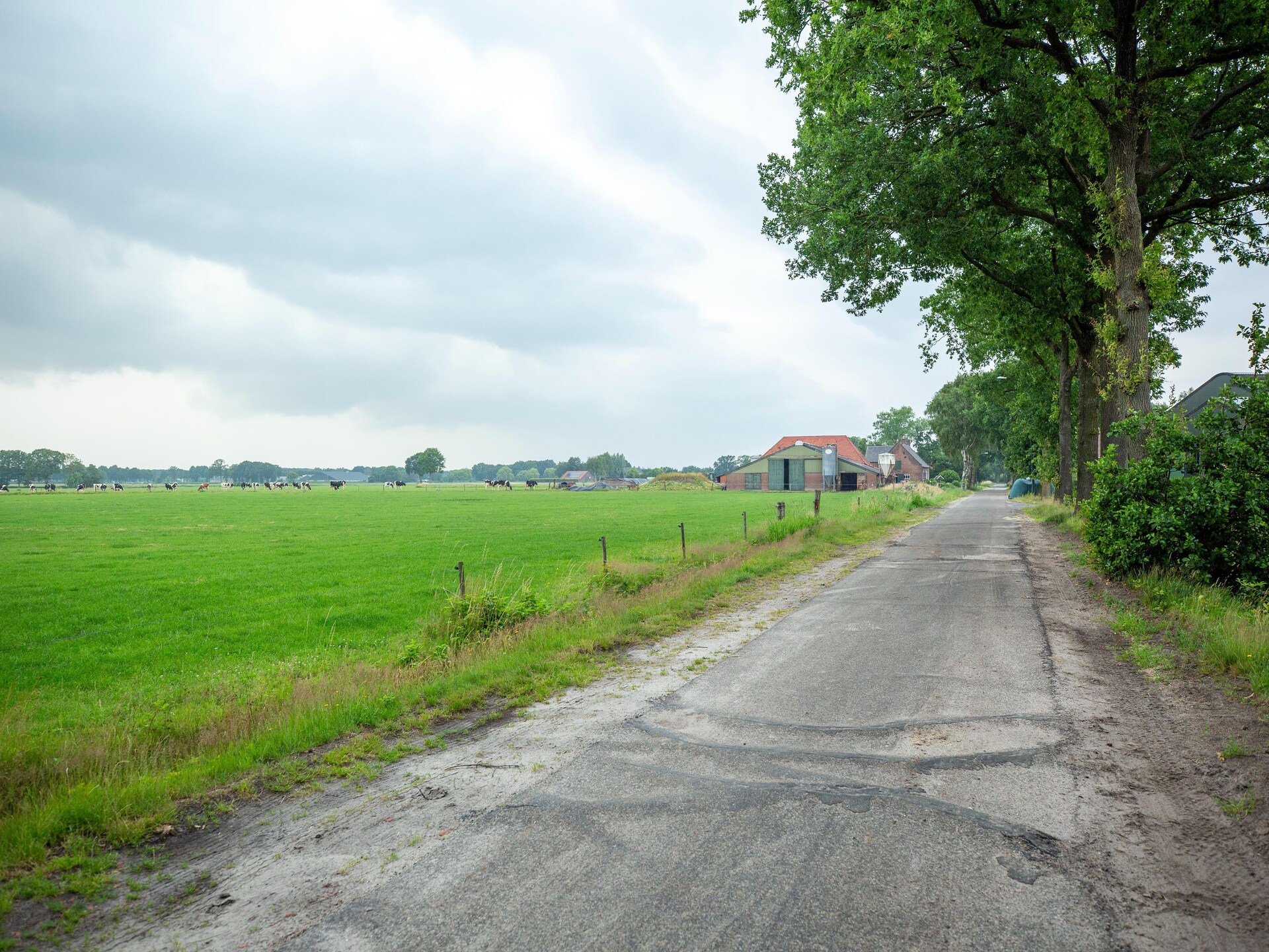 Vakantiehuis in bosrijk Goirle met tuin, terras en golfbaan - foto 34