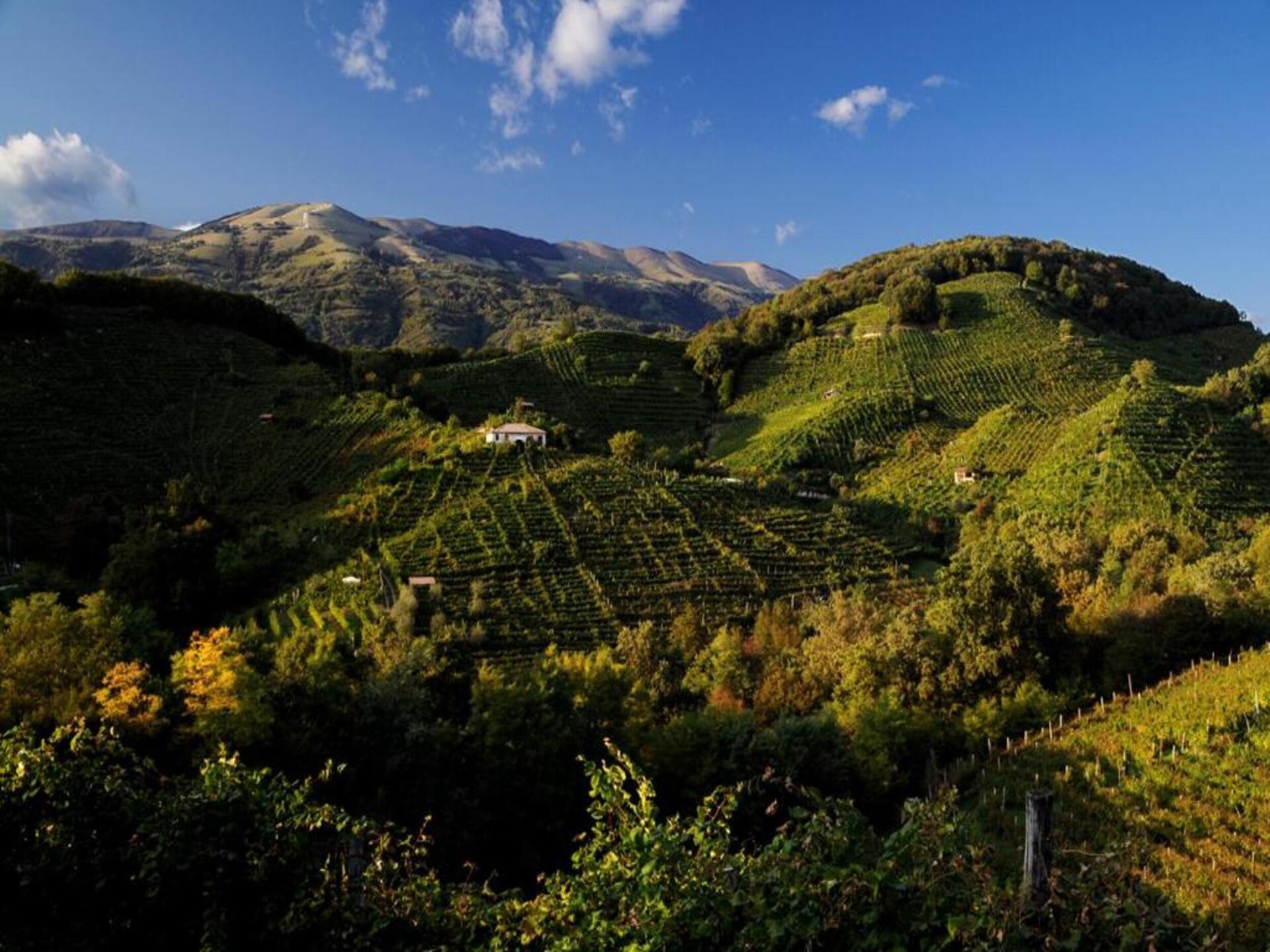 Ruim vakantiehuis Tonino in Cison di Valmarino voor 5 personen - foto 39