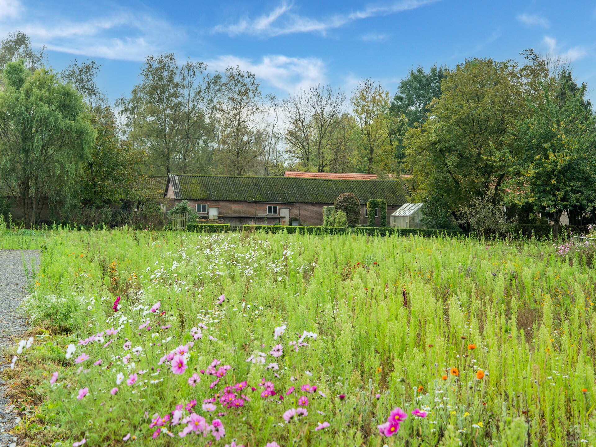 Stijlvol vakantiehuis met sauna en tuin aan bos en golfbaan in Goirle - foto 37