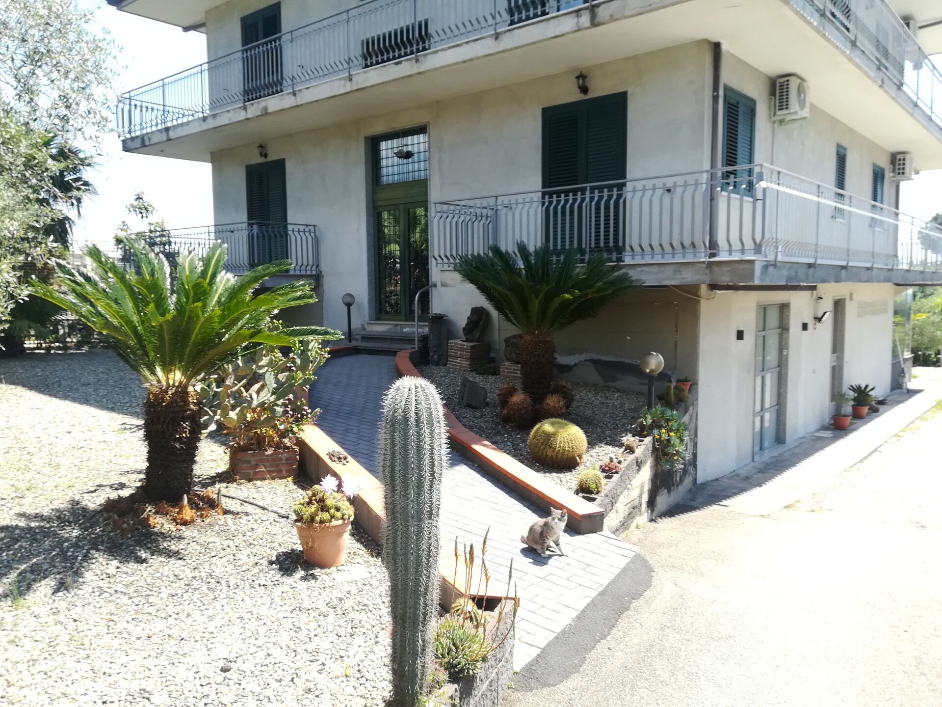 Zonnig appartement met zwembad en terras op de Etna - foto 8
