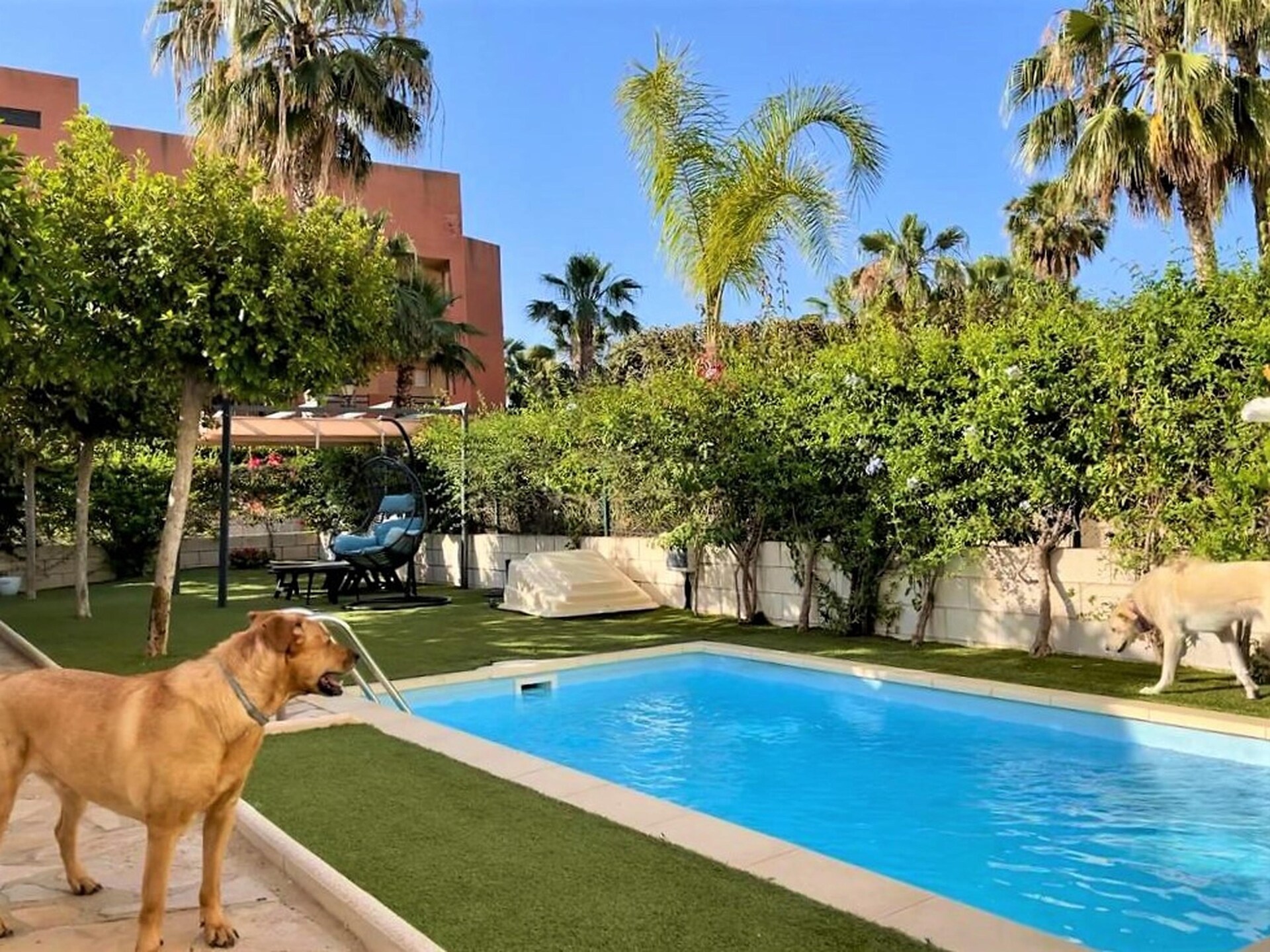 Op 400 m van het strand: ruim appartement met privézwembad in Vera Playa · 5 pers. - foto 10