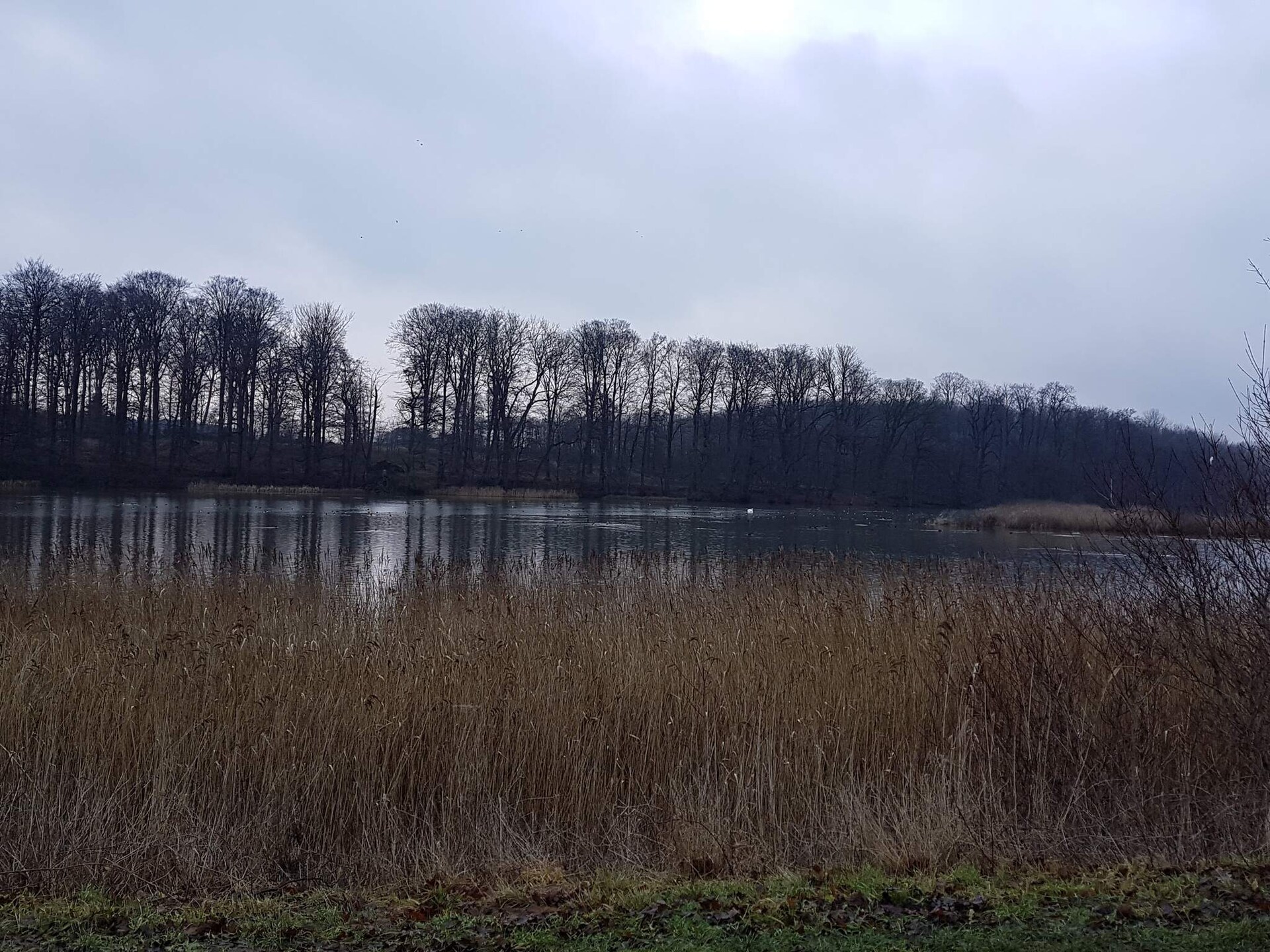 Gezellig vakantiehuis in Svendborg met sauna en whirlpool - foto 7
