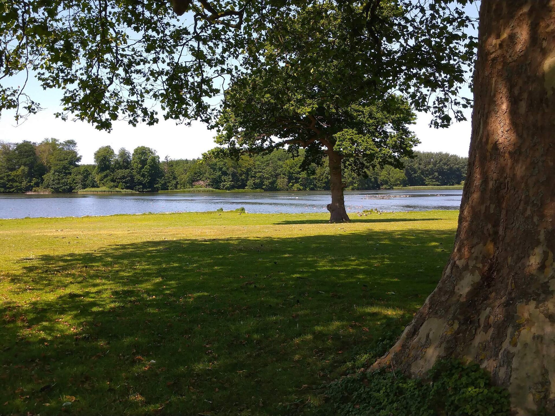 Gezellig vakantiehuis in Svendborg met sauna en whirlpool - foto 10
