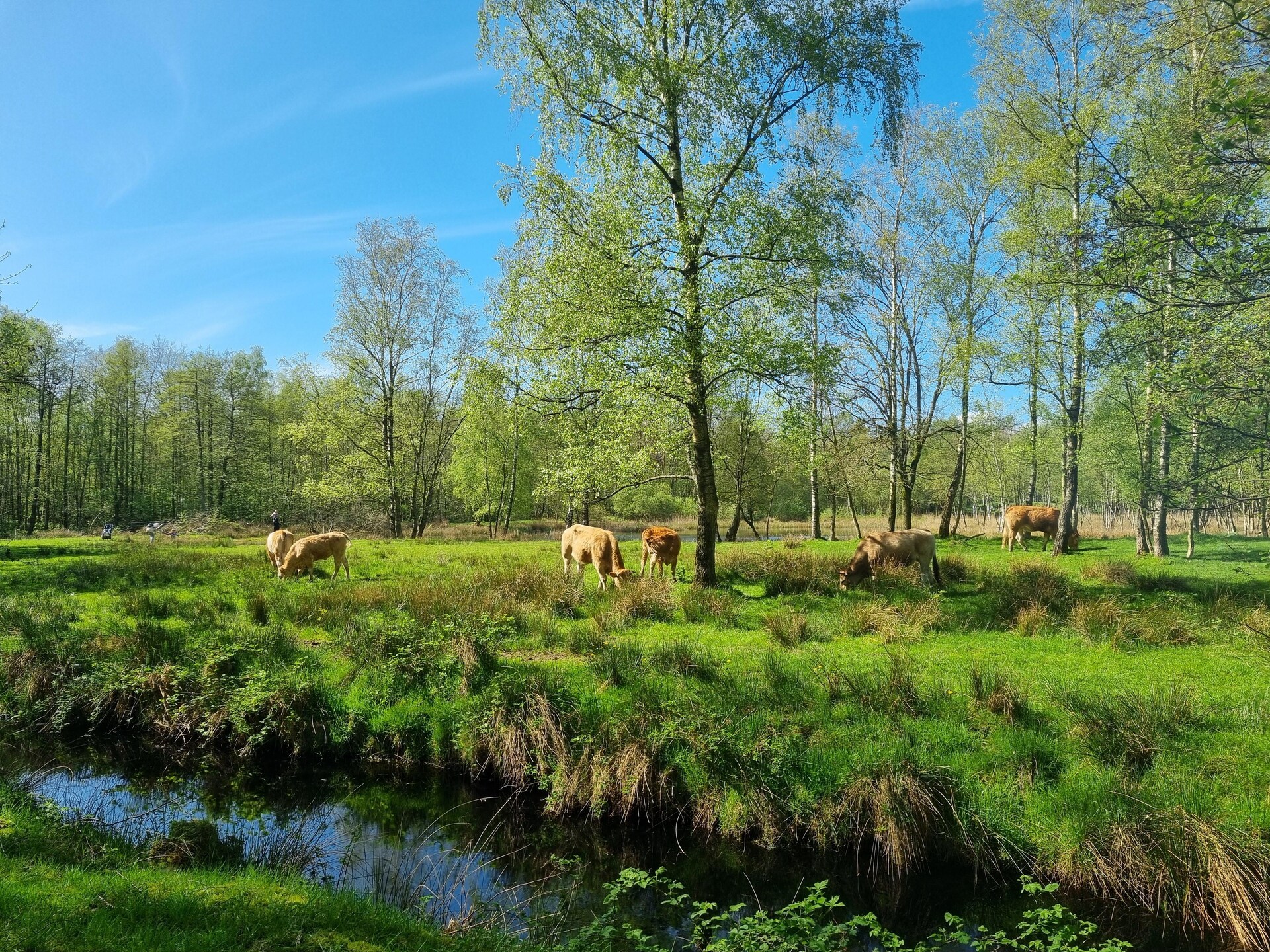 Luxe watervilla met aanlegsteiger aan het Slotermeer in Friesland - foto 36