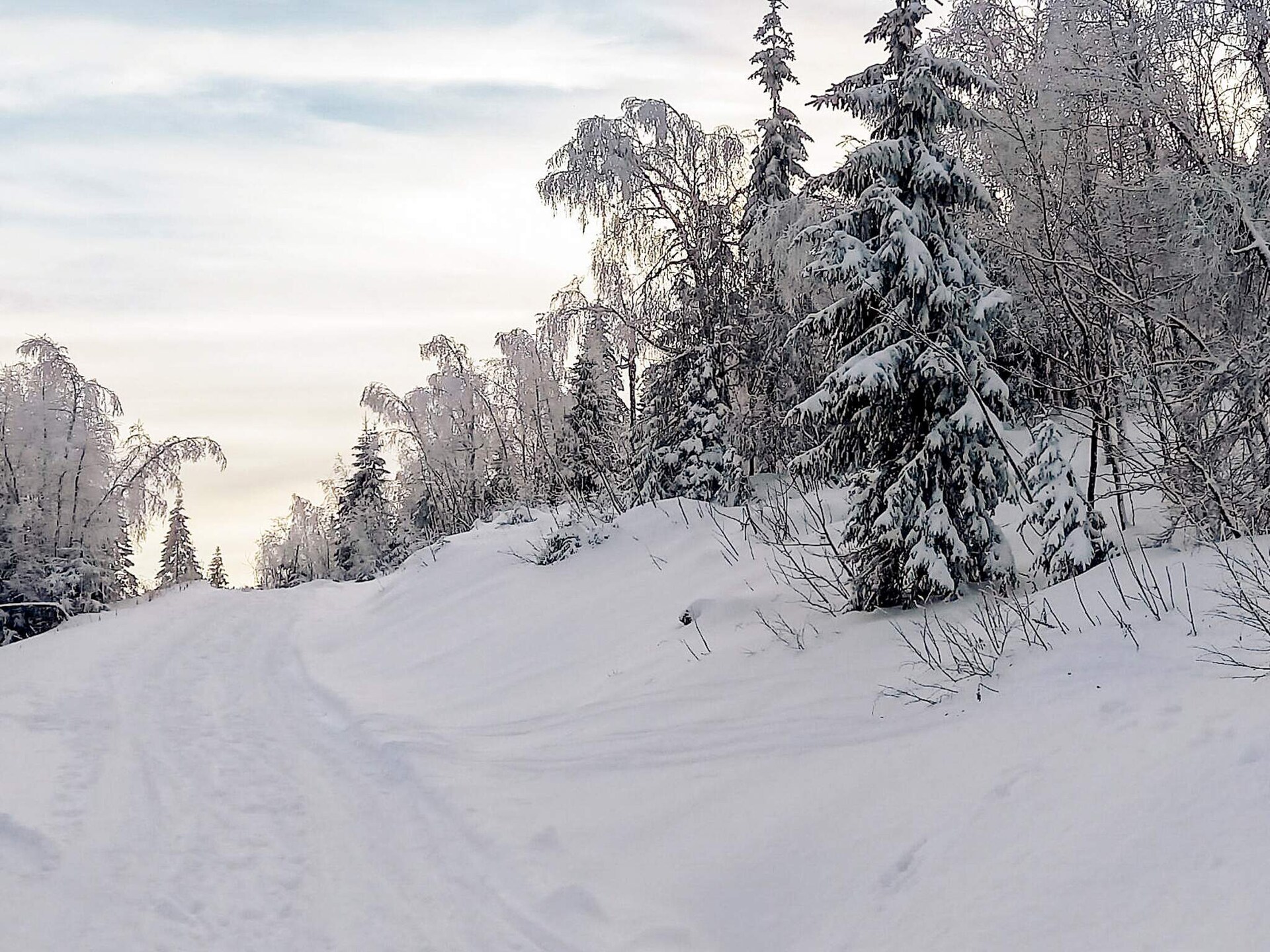 Ruim vakantiehuis bij Passebekk met uitzicht, sauna & dicht bij skipistes - foto 28