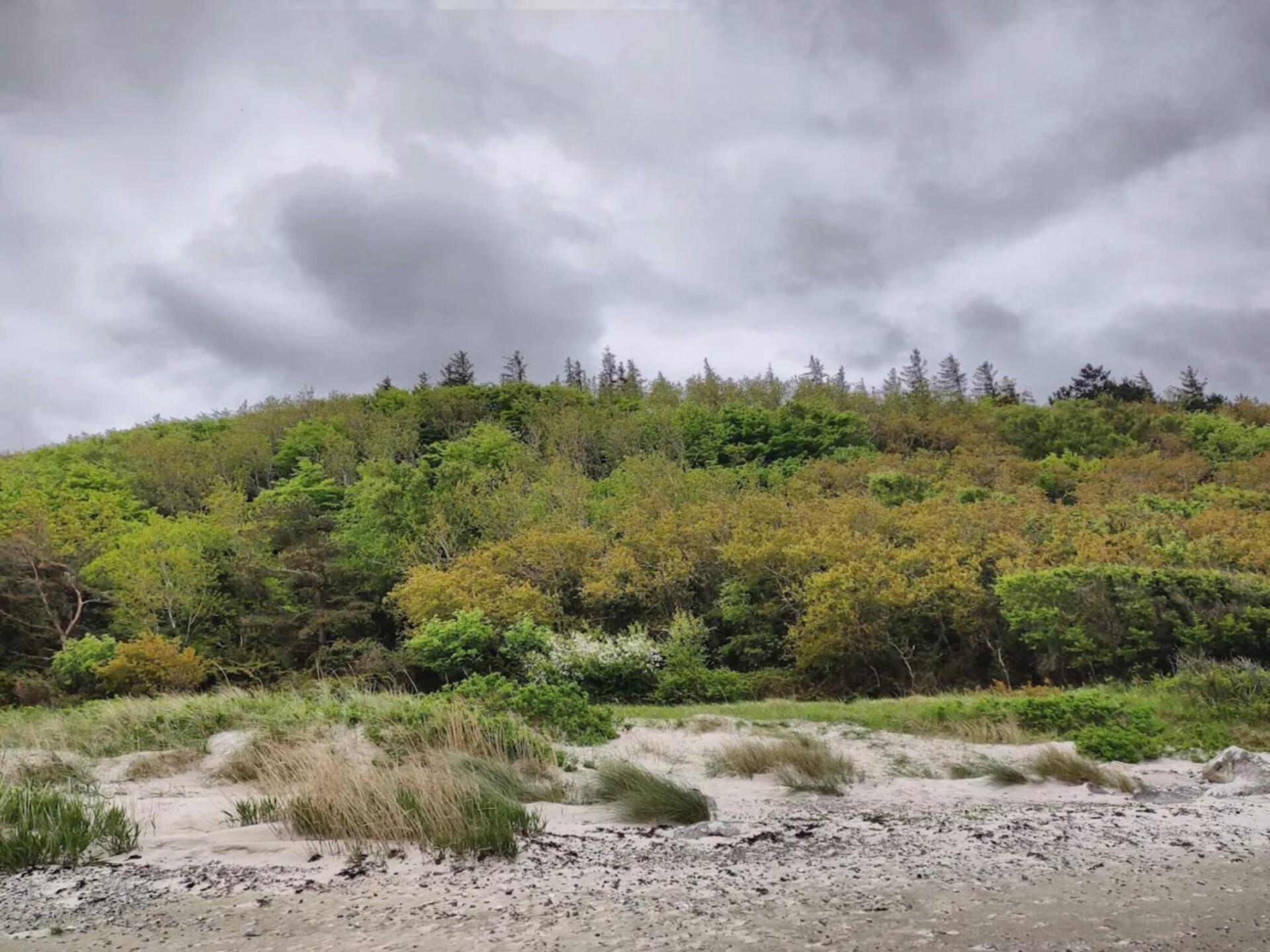Modern vakantiehuis aan de Deense kust, 300m van het strand - foto 4