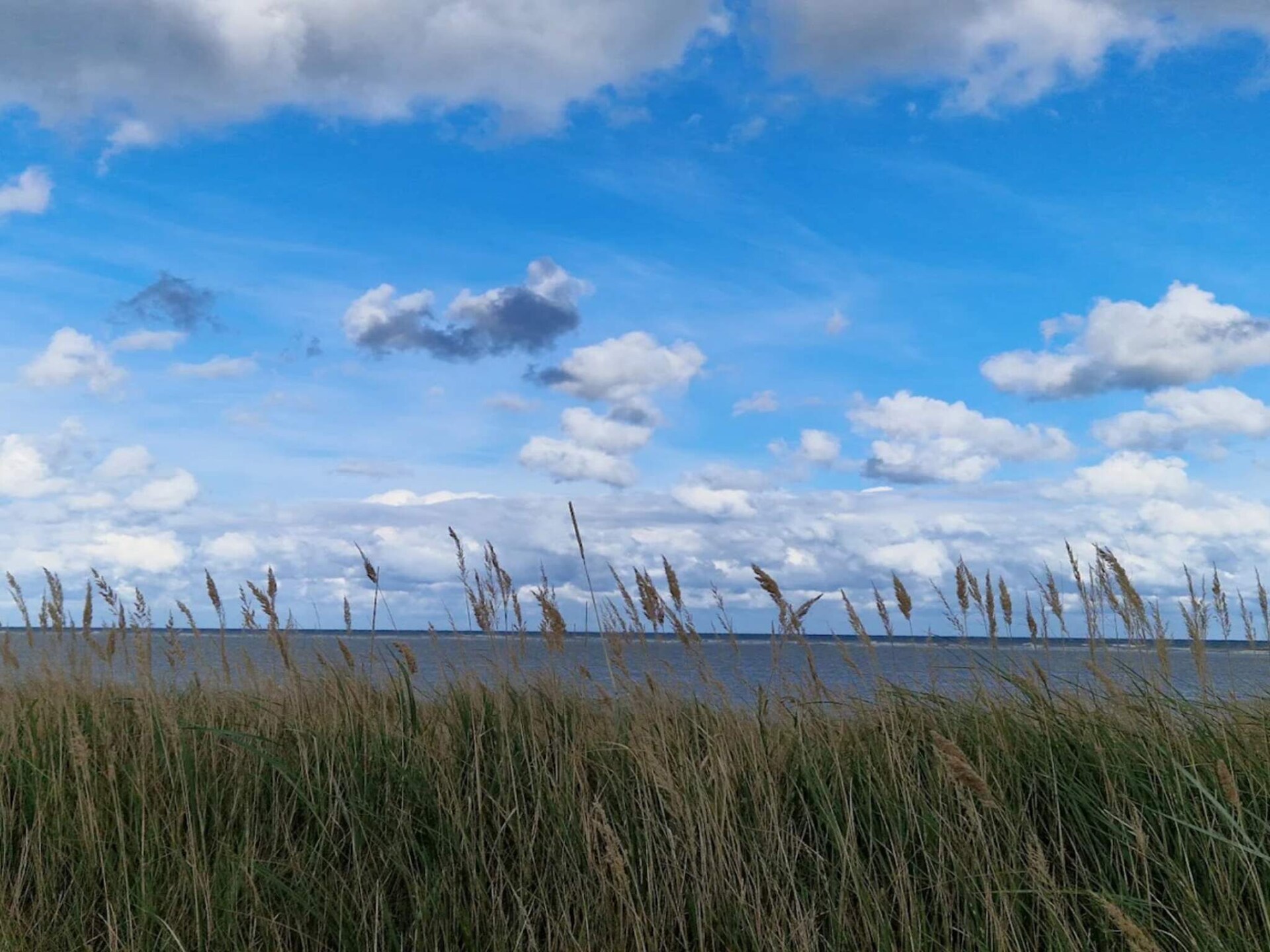 Modern vakantiehuis aan de Deense kust, 300m van het strand - foto 5