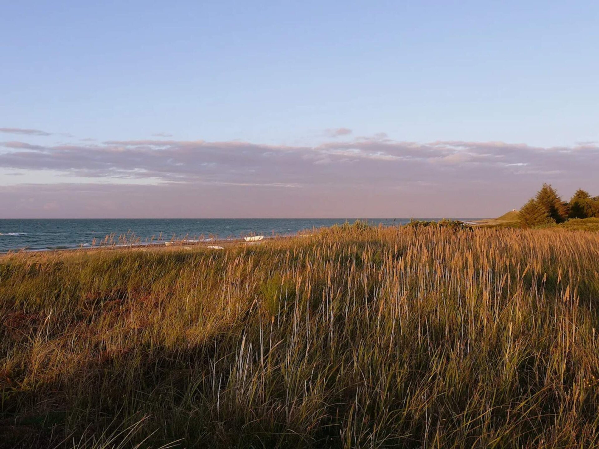 Modern vakantiehuis aan de Deense kust, 300m van het strand - foto 19