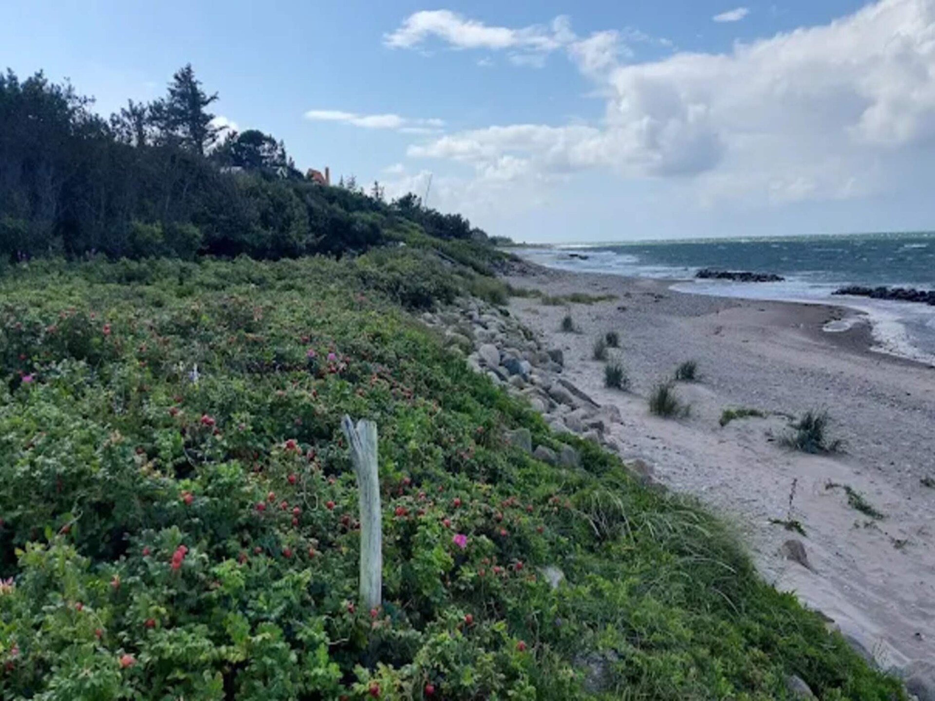 Modern vakantiehuis bij Gilleleje op 1 km van zee met laadpaal - foto 22