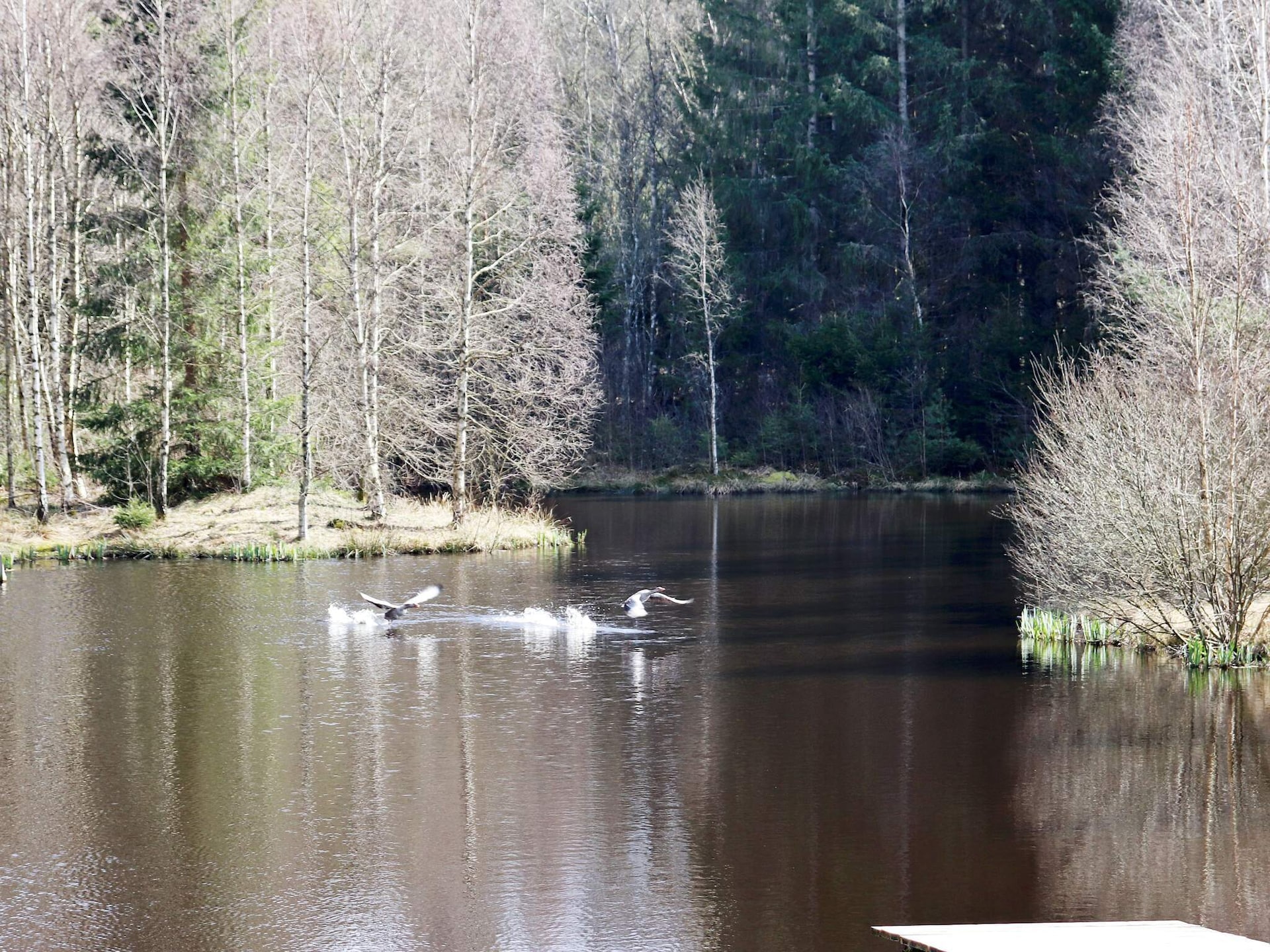 Vrijstaand vakantiehuis met houtgestookte whirlpool nabij golfbaan in Knäred - foto 29