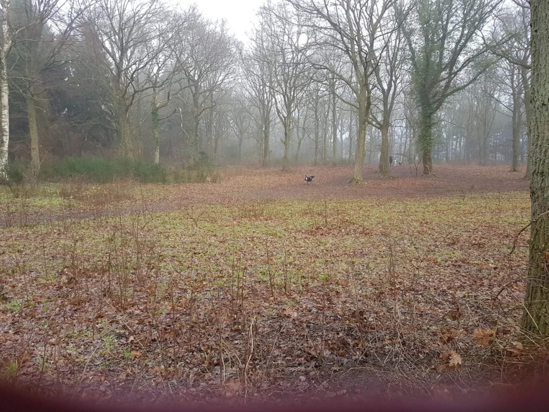 Authentiek Noors blokhut met sauna en whirlpool nabij Kolind - foto 15