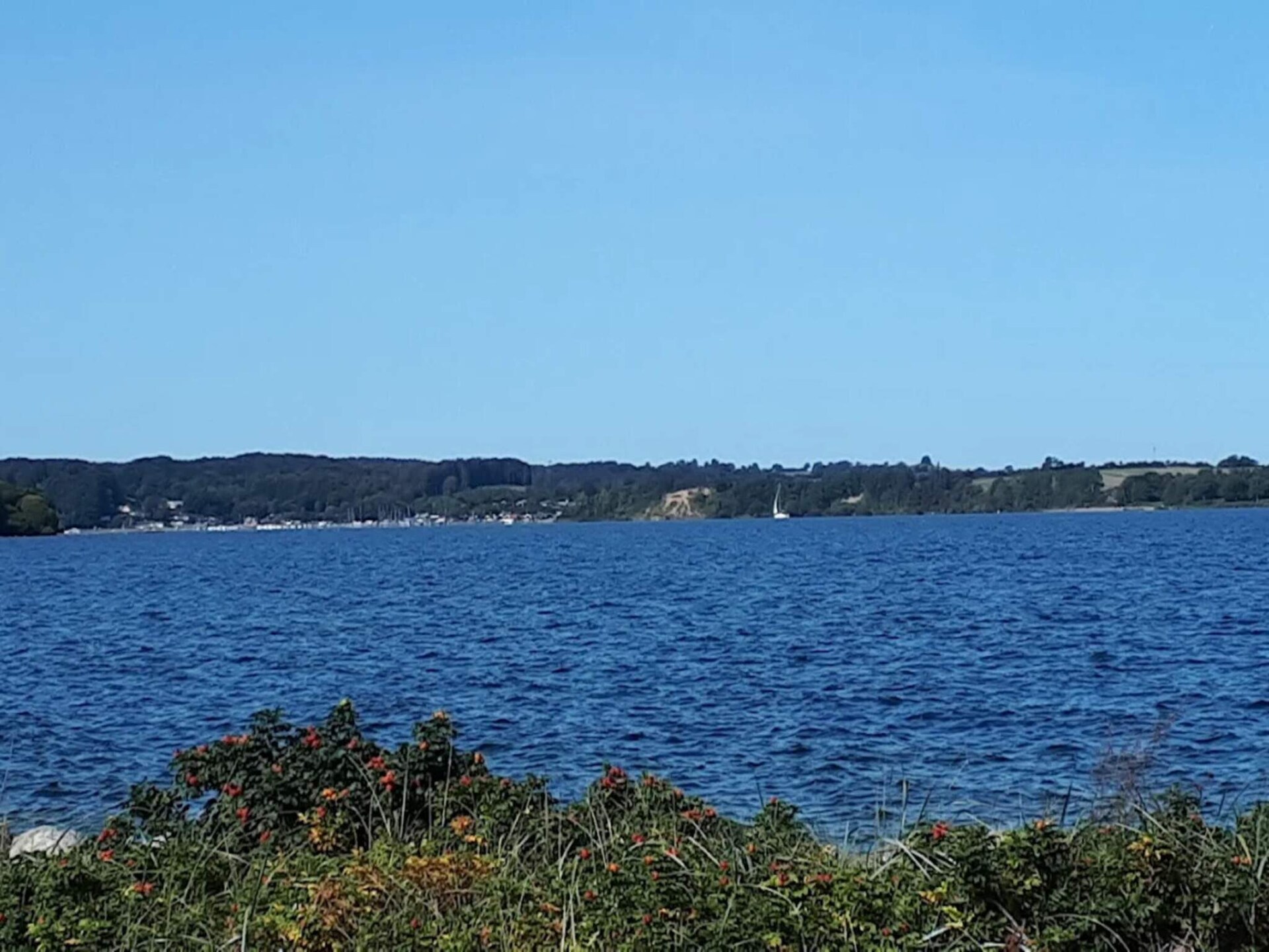 Vrijstaand vakantiehuis met panoramisch uitzicht over de Kleine Belt - foto 11