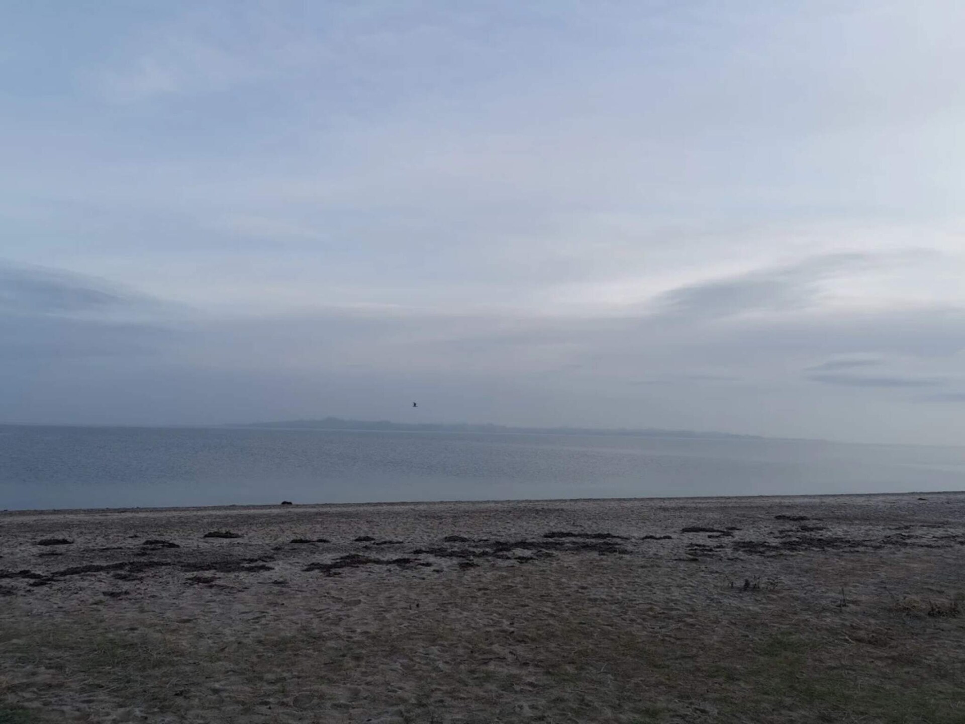 Vrijstaand vakantiehuis met panoramisch uitzicht over de Kleine Belt - foto 19
