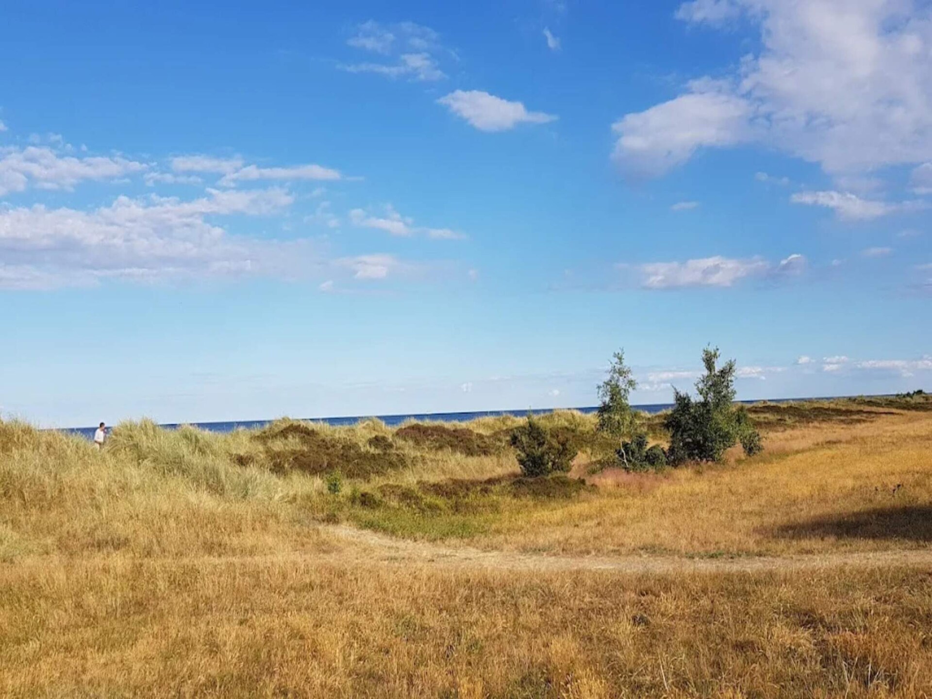 16-persoons vakantiehuis in Væggerløse op 800 m van zee - foto 6