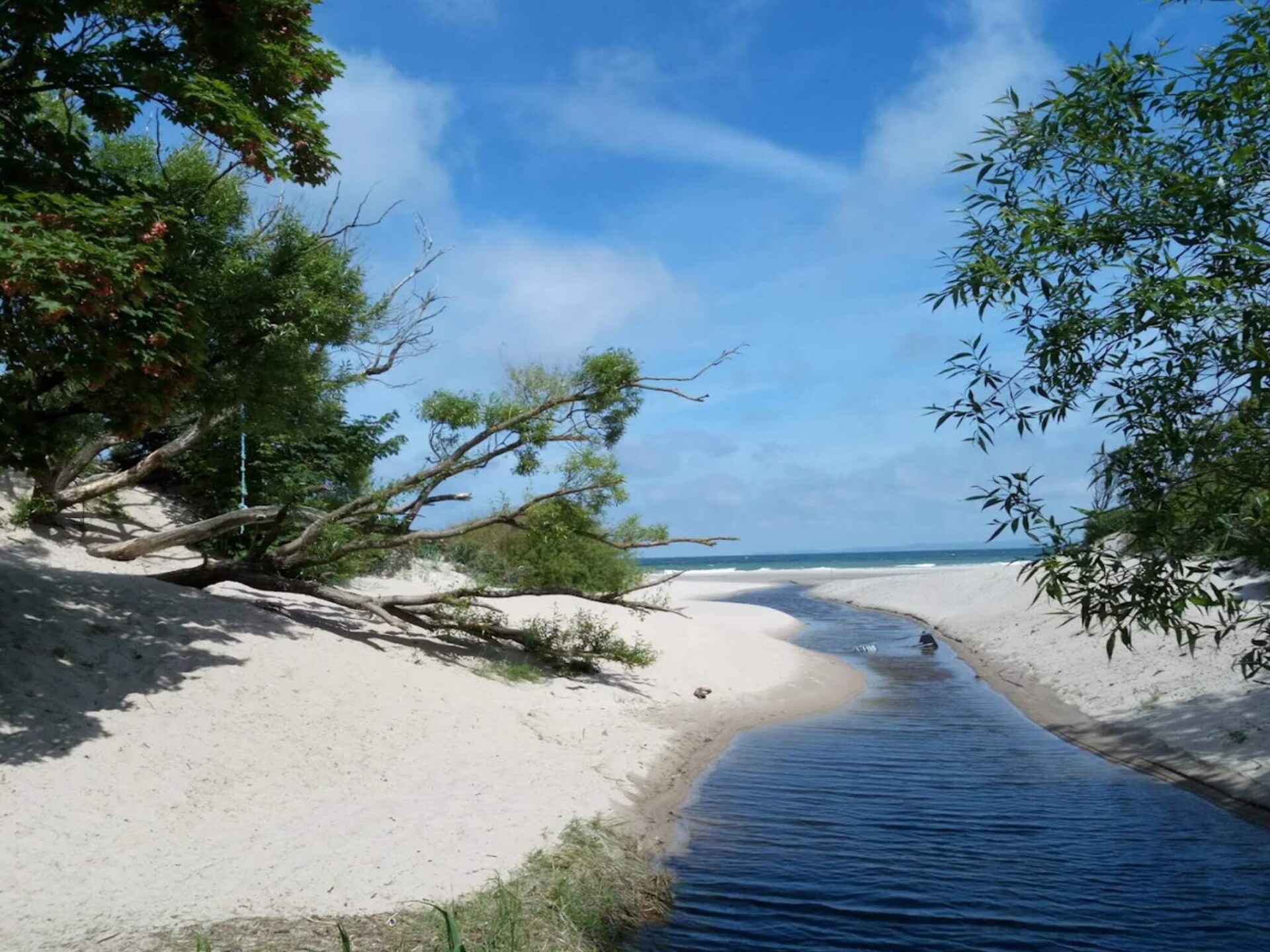 Vakantiehuis in Hornbæk op 1,0 km van centrum met verwarmd zwembad - foto 32