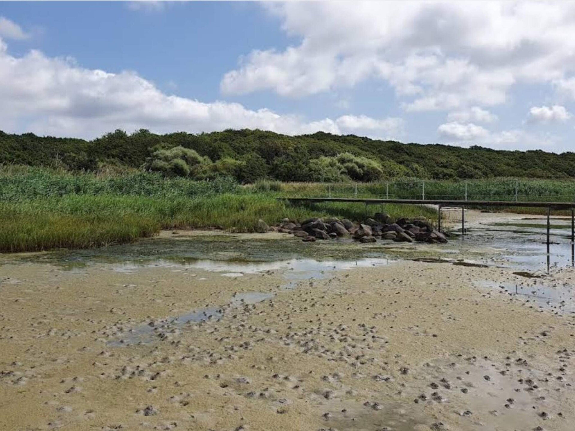 Op 400 m van zee: gezellig vakantiehuis in Jægerspris - foto 10