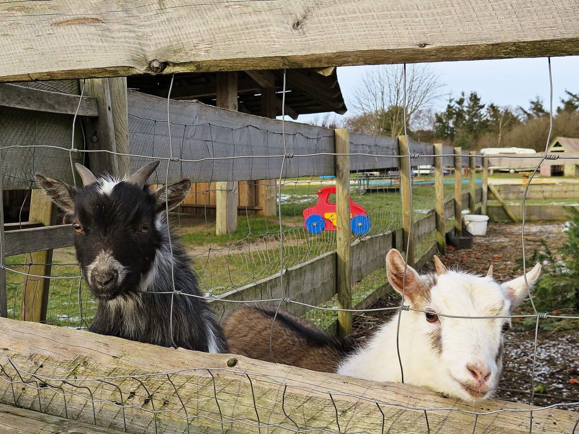 8-persoons vakantiehuis in Struer nabij zee en golfbaan - foto 11