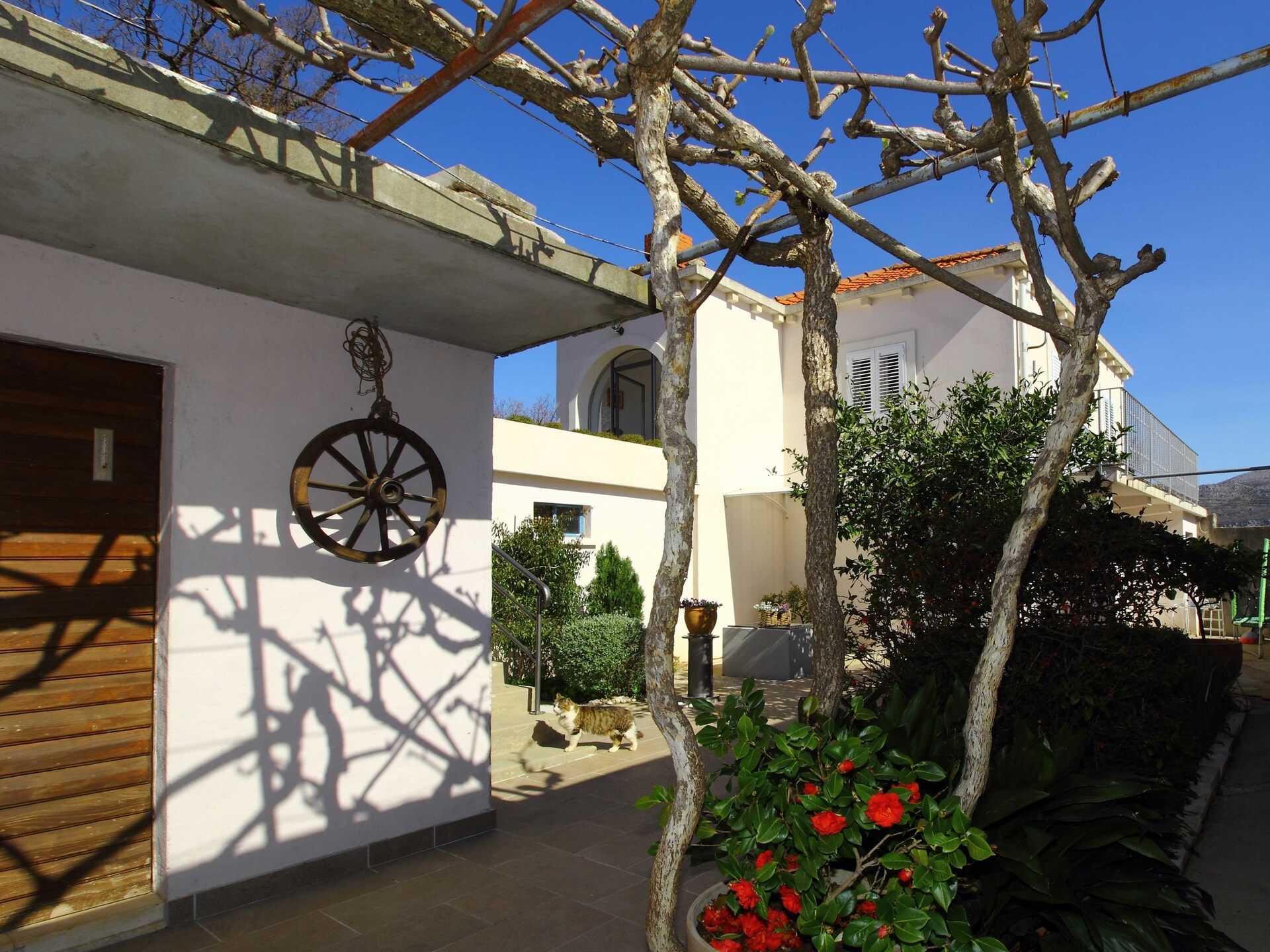 Appartement Marita met balkon nabij Dubrovnik en Pasjača strand - foto 12