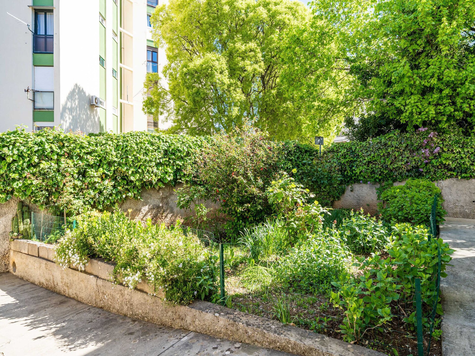 Rustiek appartement met terras in Lapad, op 400m van het strand - foto 25