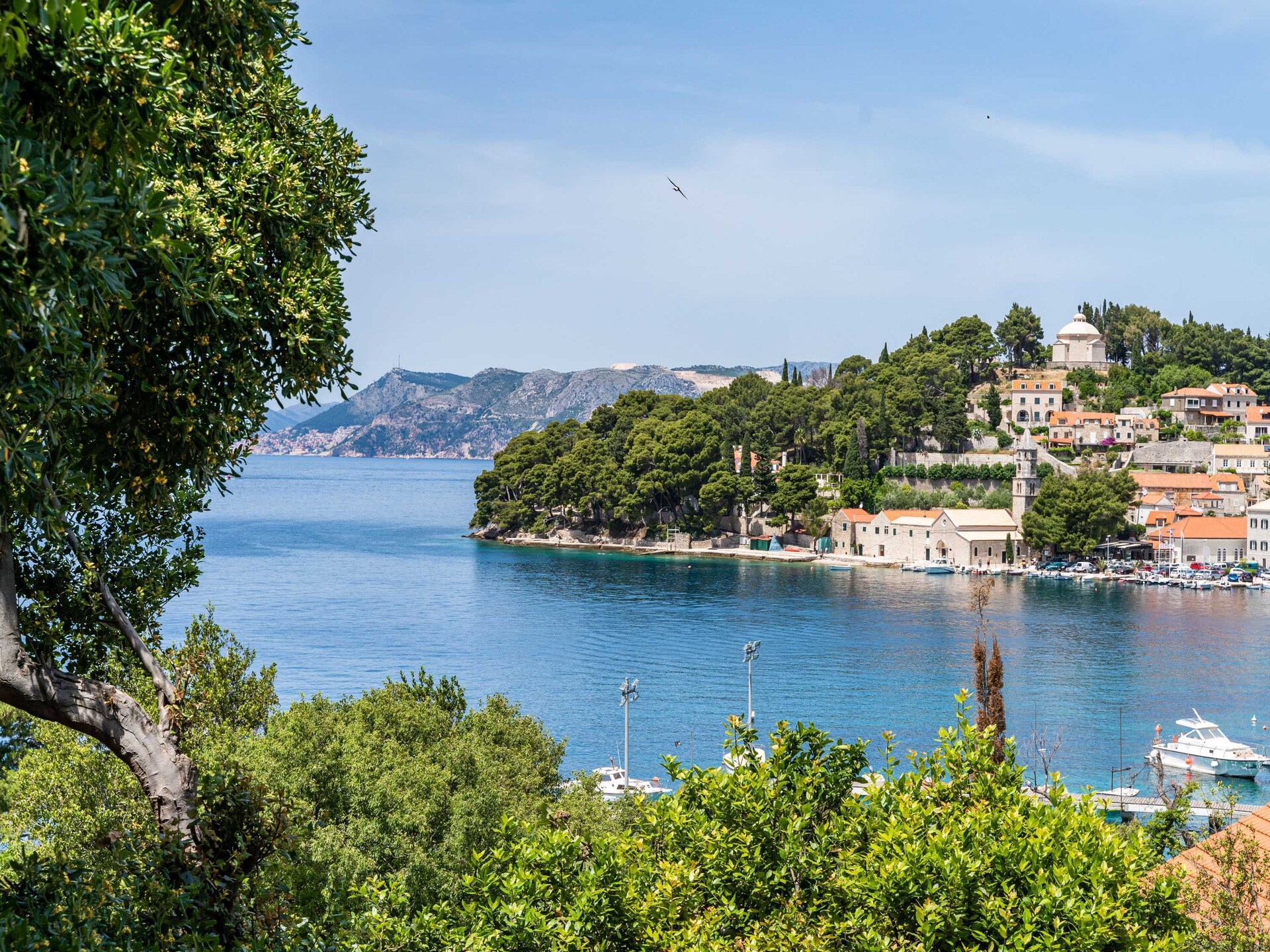 Kamer met zeezicht en gedeelde tuin op 100 meter van het strand in Cavtat - foto 1