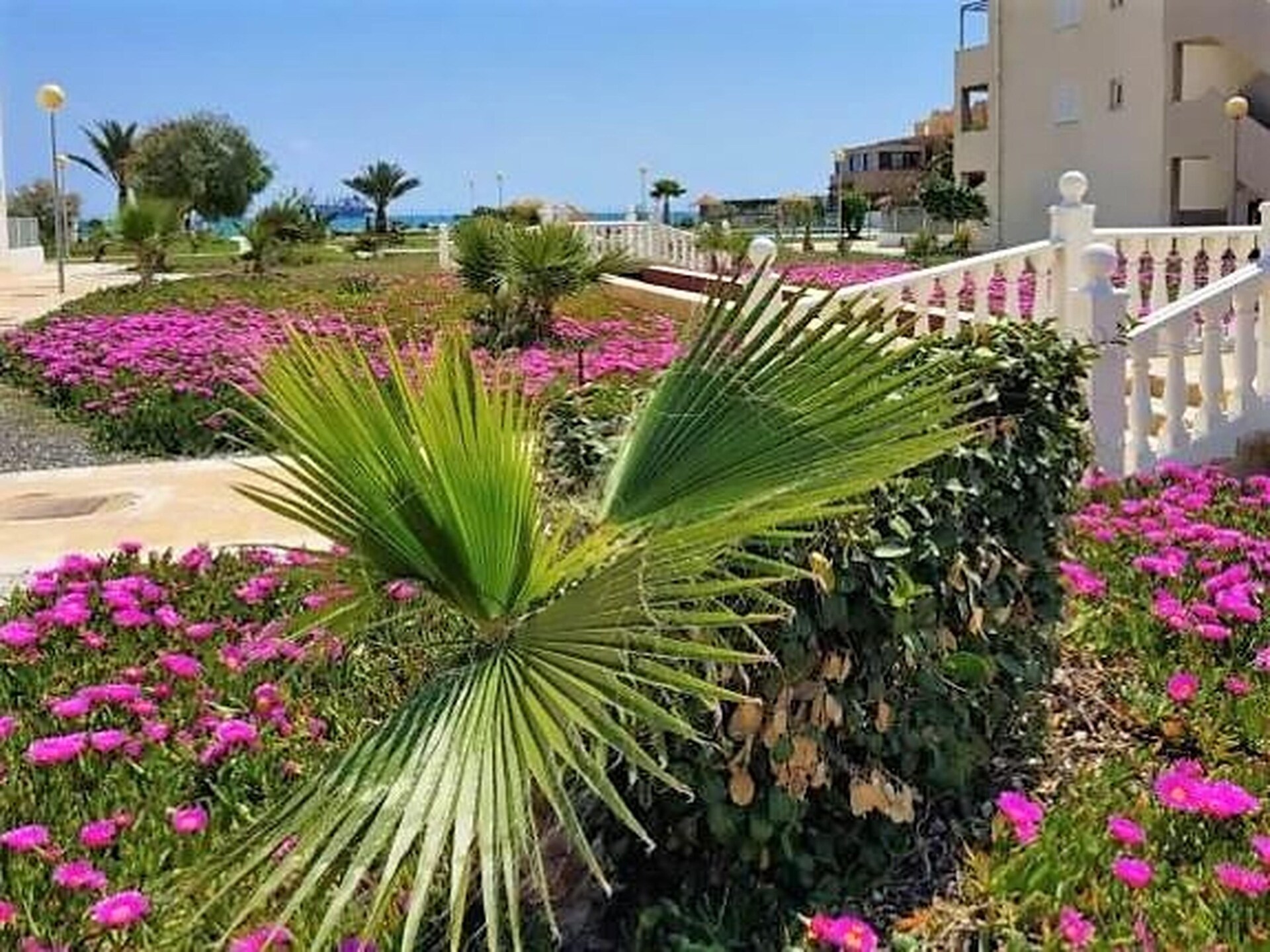 5-persoons vakantiehuis aan het strand in Vera Playa · 5 pers. - foto 36