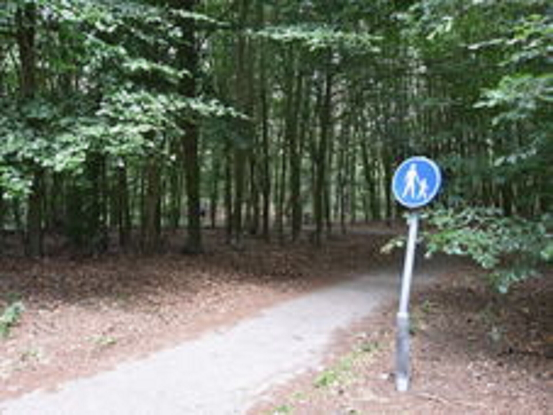 Chalet Vrijzicht: vrijstaand genieten in het Friese platteland van Haulerwijk - foto 23