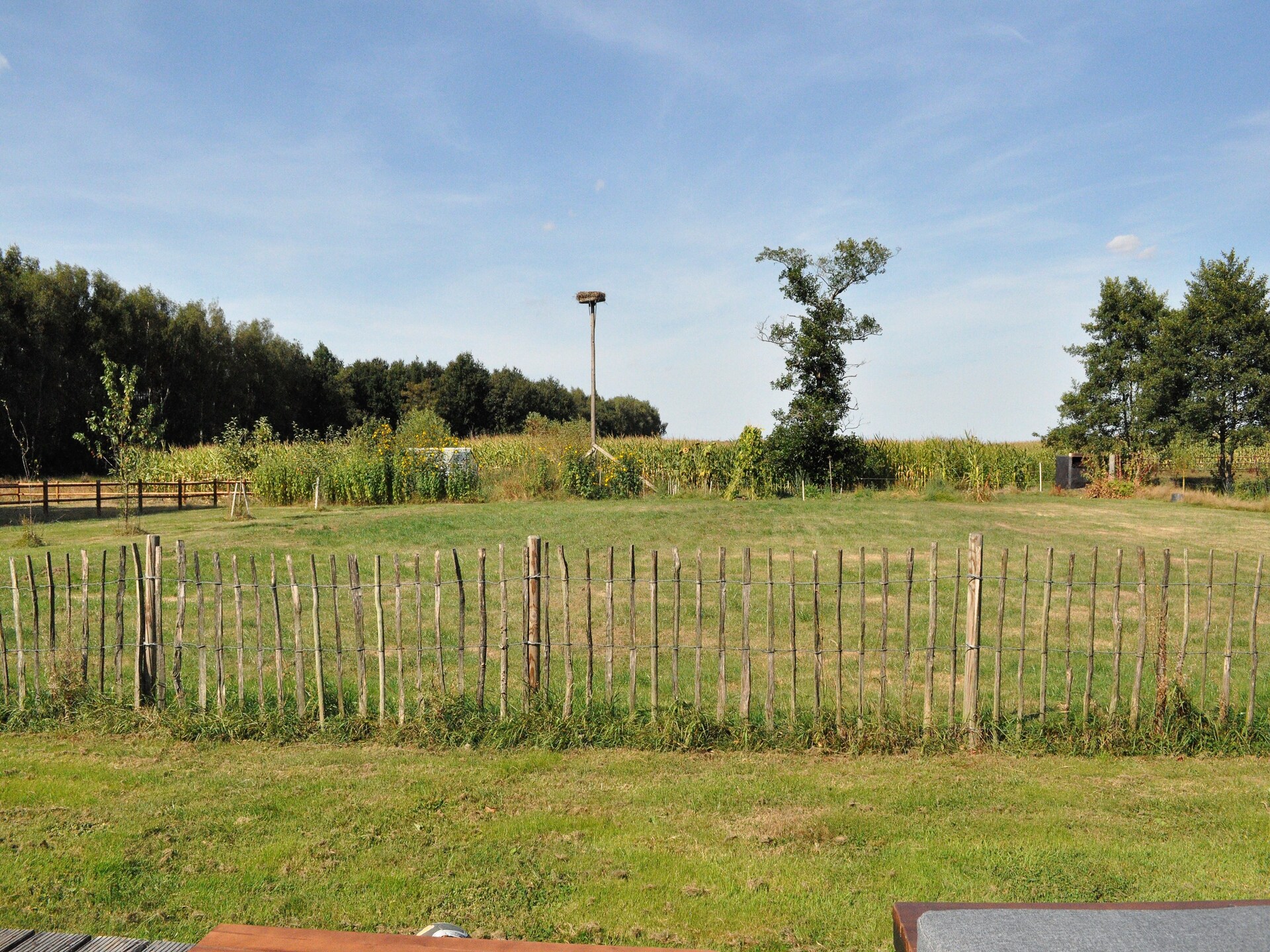 Chalet Vrijzicht: vrijstaand genieten in het Friese platteland van Haulerwijk - foto 19