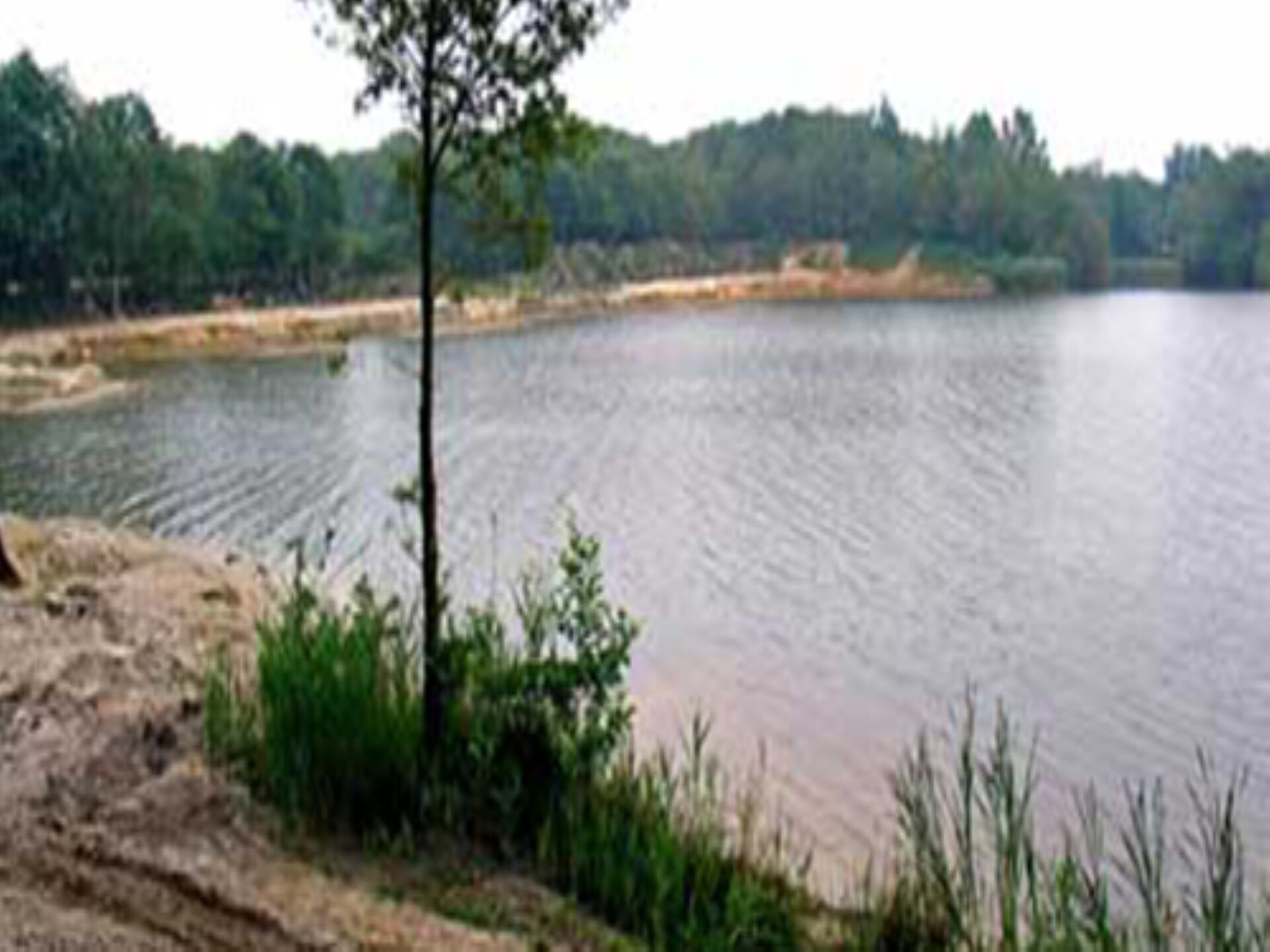 Natuurlodge Tureluur in Dalerveen met privé hottub in het bos - foto 15