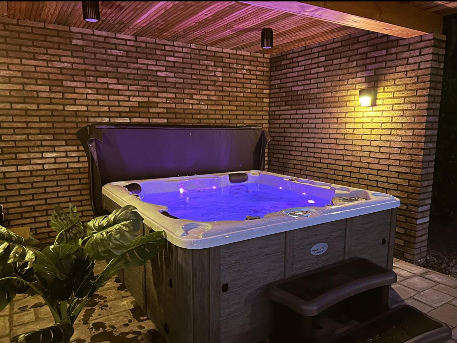 Wellnesslodge Kievit: Romantisch vakantiehuis in Dalerveen - foto 6