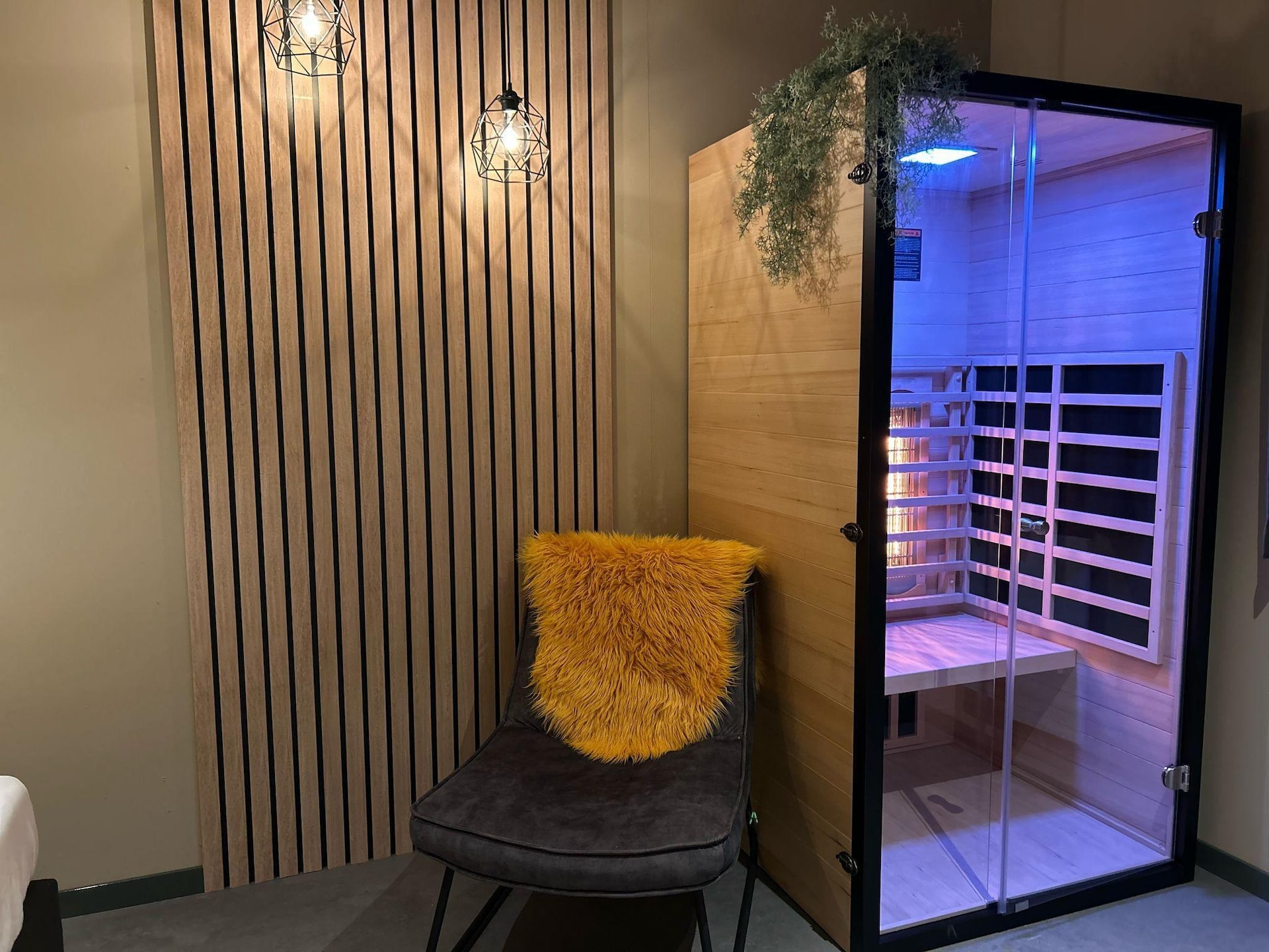 Wellnesslodge Kievit: Romantisch vakantiehuis in Dalerveen - foto 34