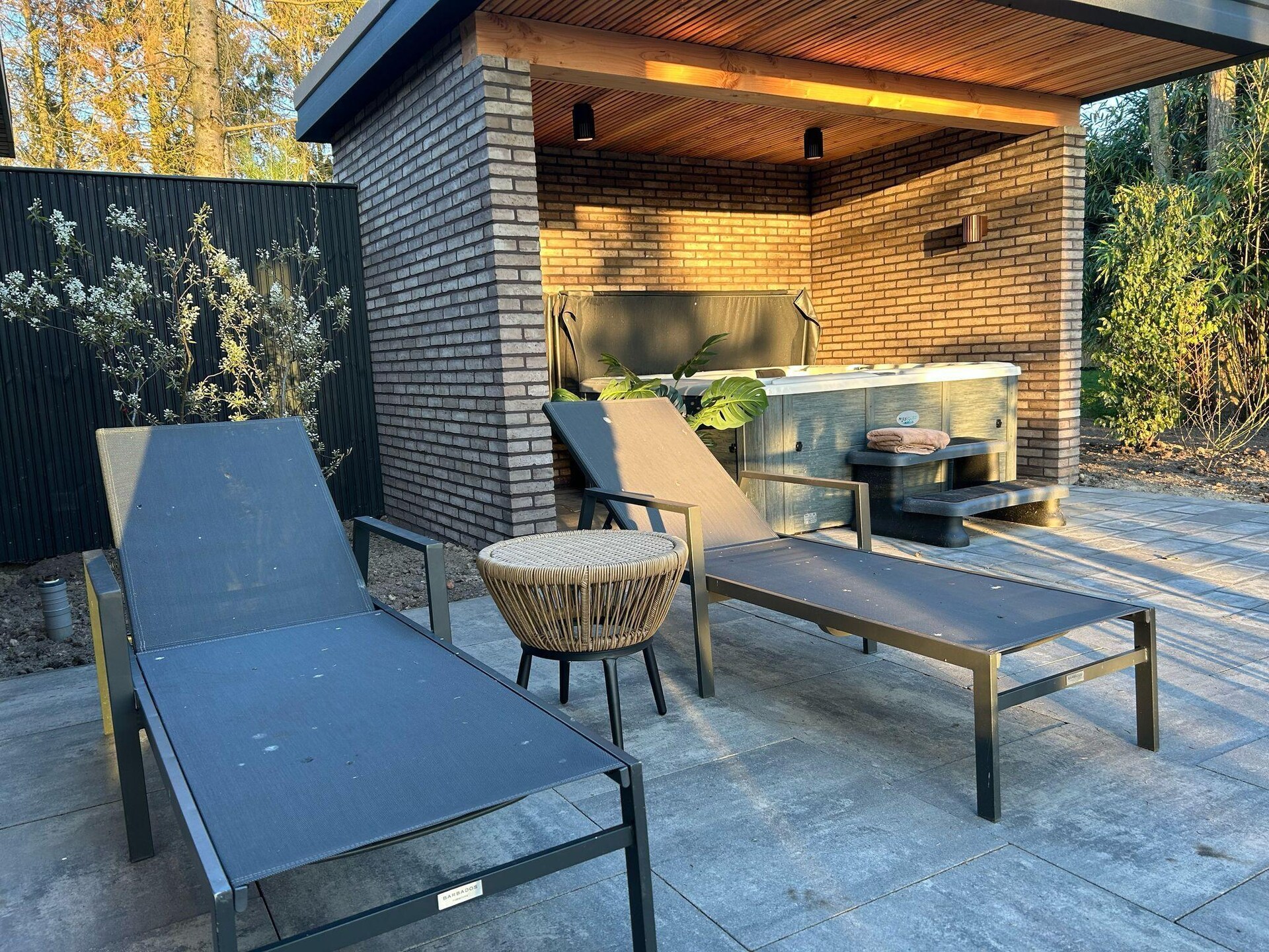 Wellnesslodge Kievit: Romantisch vakantiehuis in Dalerveen - foto 28