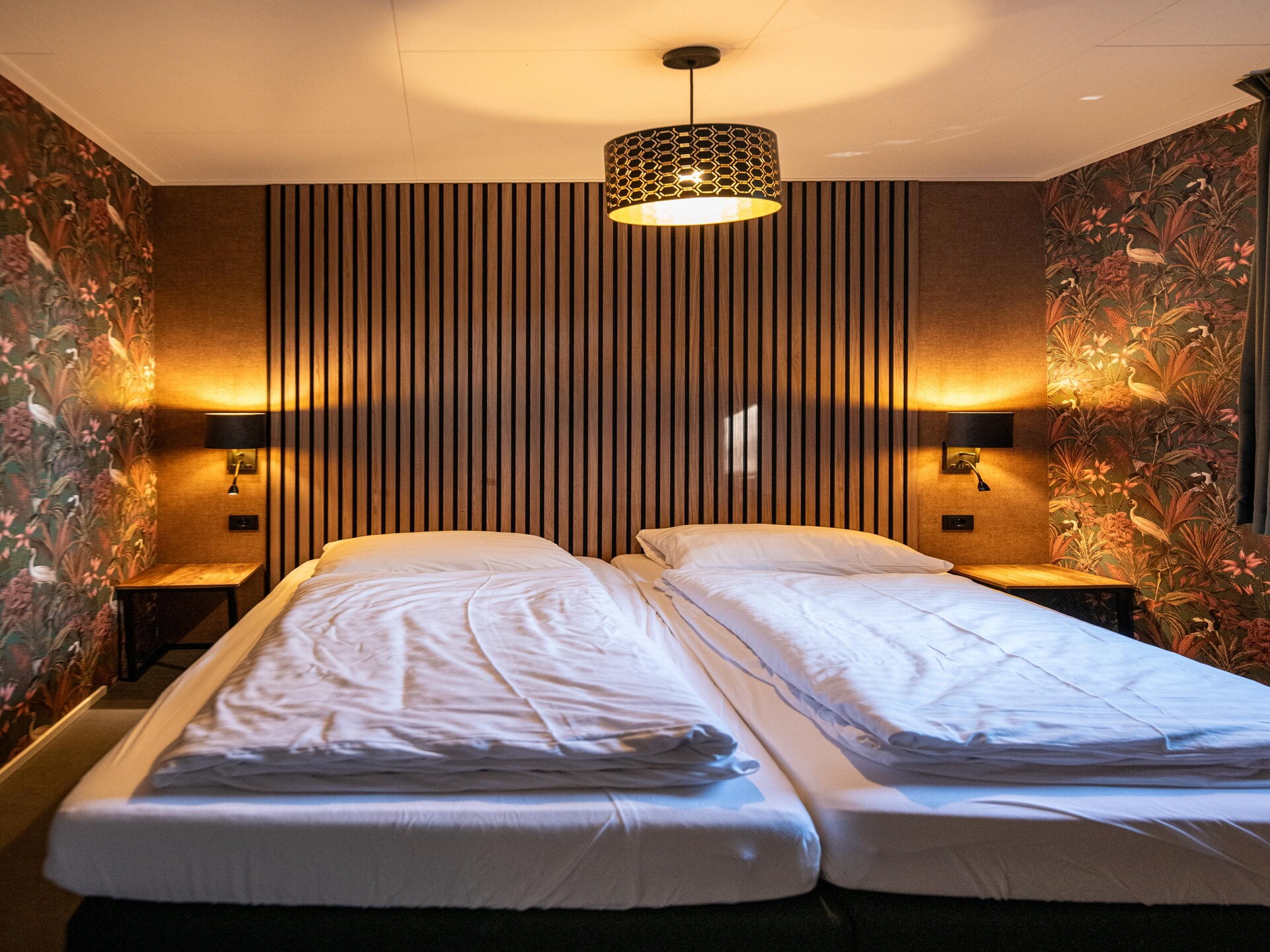 Wellnesslodge Scholekster: privé-jacuzzi in Drentse natuur - foto 9
