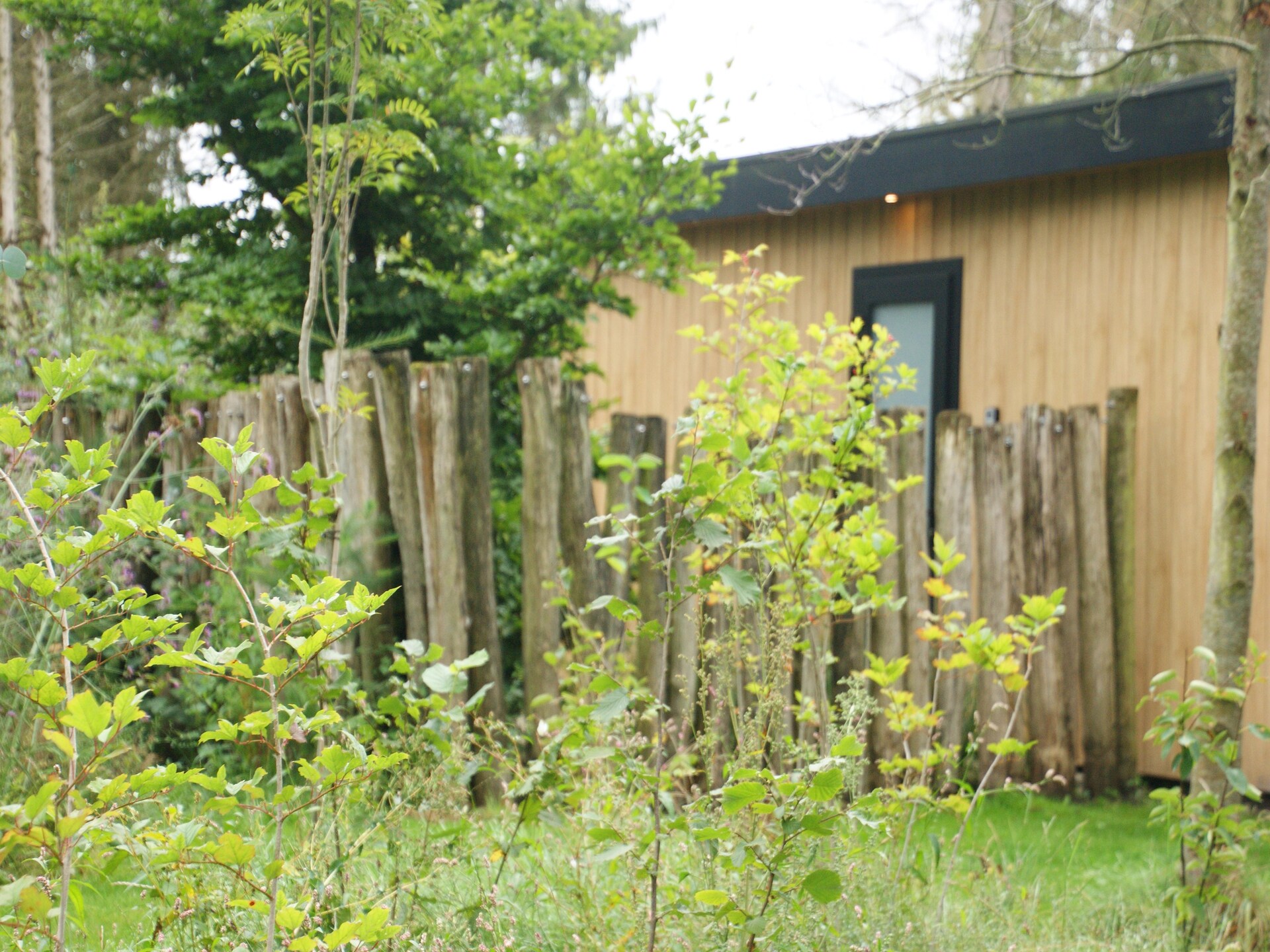 Wellnesslodge Scholekster: privé-jacuzzi in Drentse natuur - foto 17