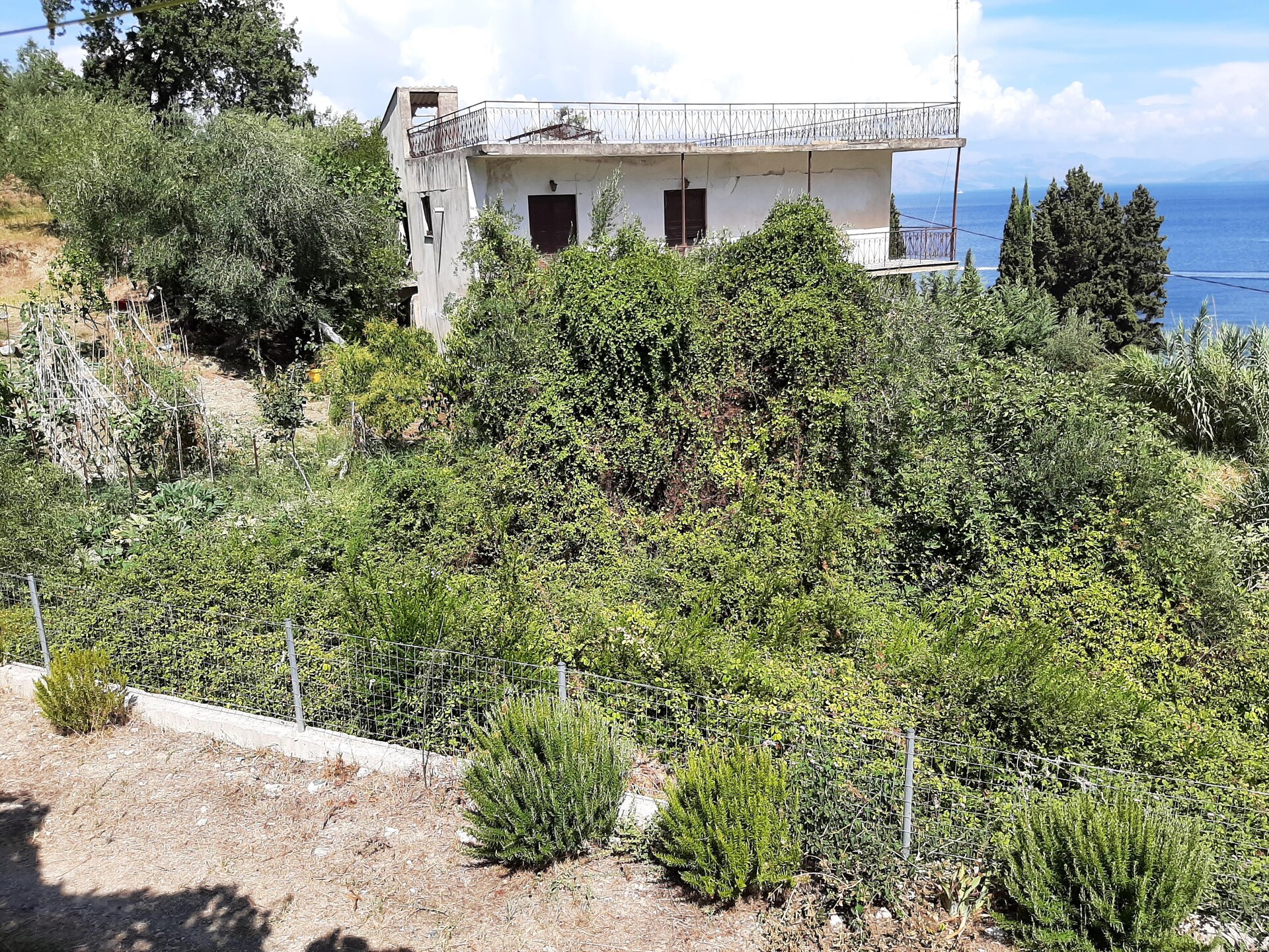Studio Andromaches aan zee: romantisch appartement met zeezicht op Corfu - foto 29
