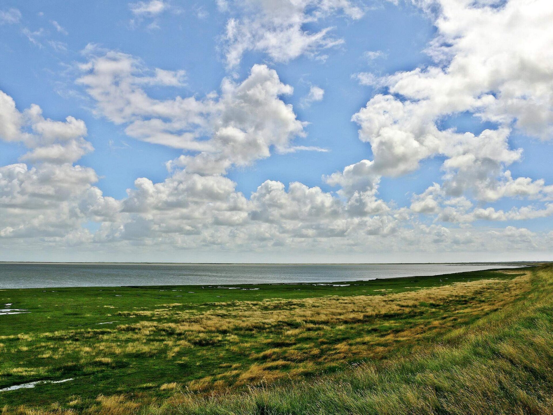 Modern vakantiehuis op 130m van de zee met uitzicht over de Waddenzee - foto 6