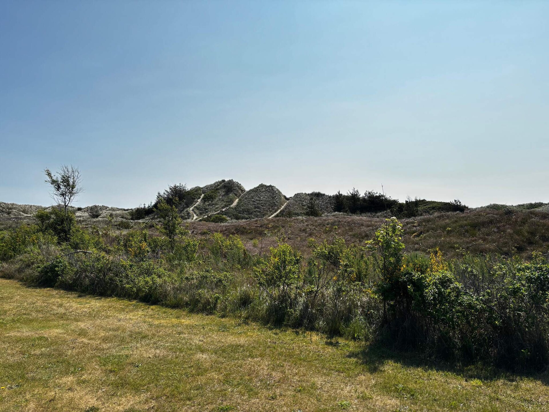 8-persoons vakantiehuis in Ålbæk met binnenzwembad en golf nabij - foto 6